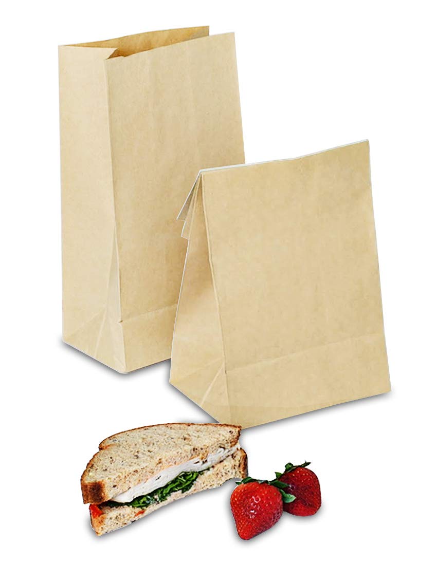 SOLAS 50 Pack Thick Brown Kraft Paper Lunch Bags - 11