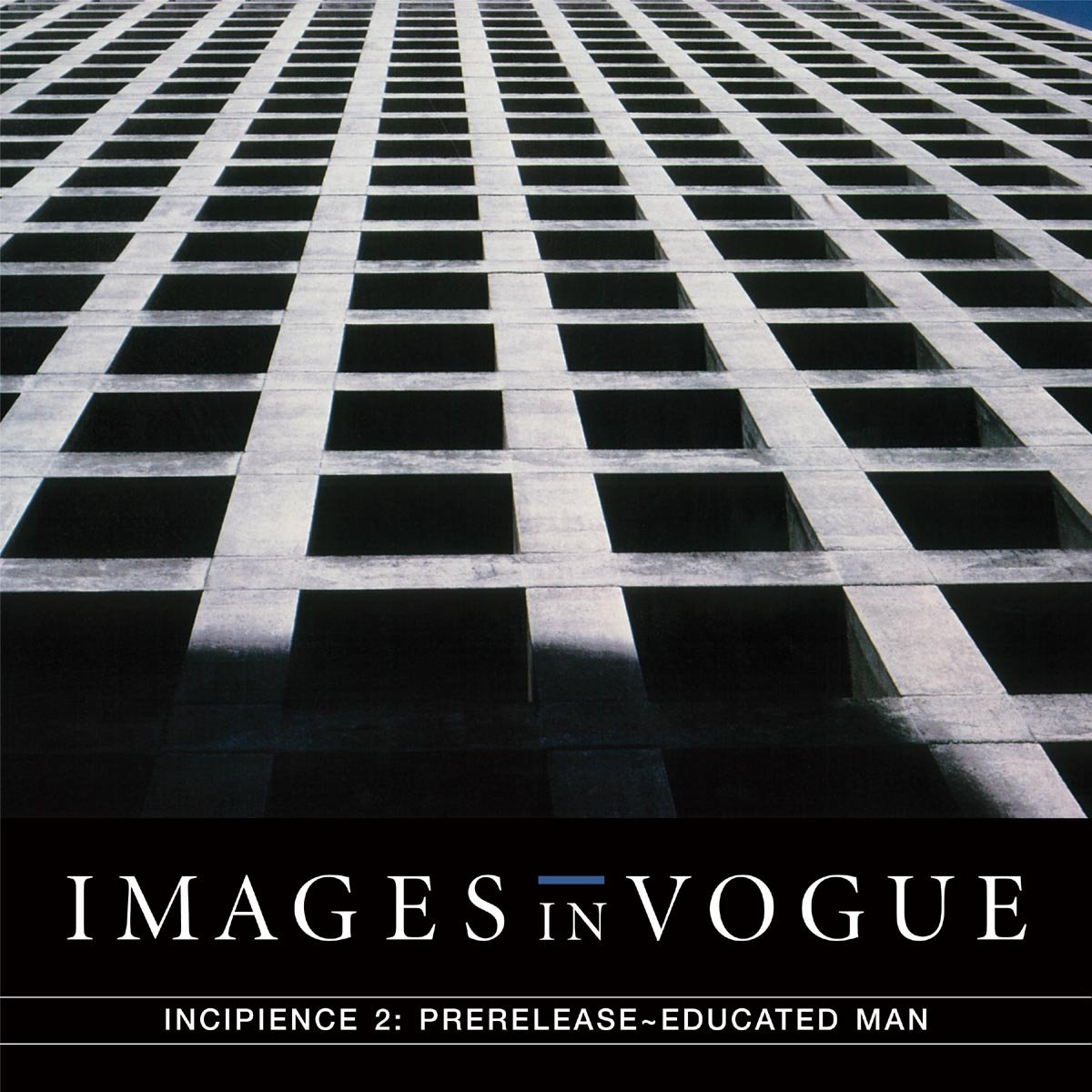 Incipience 2: Prerelease Educated Man - Premium Men's Fashion for Business & Formal Occasions - Perfect for Office Wear, Interviews & Special Events