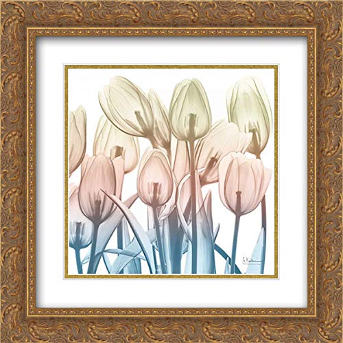 Albert Koetsier 20x20 Inch Gold Ornate Frame with Double Matted Museum Art Print - 'Fantastic Bloom 2' Floral Wall Decor for Living Room, Bedroom & Office
