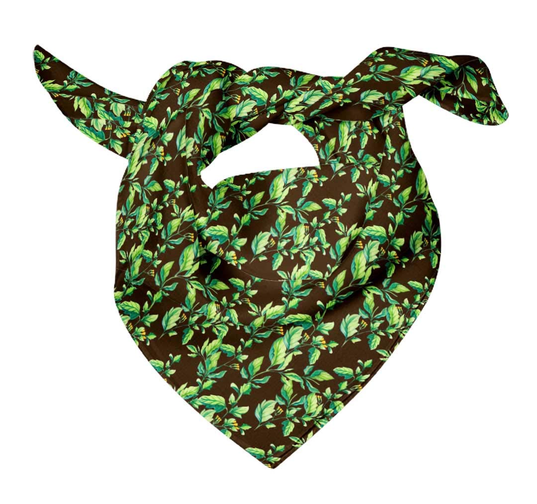 Bimba Printed Pure Silk Scarf for Women - Elegant Hair Wrap, Neck Scarf & Head Bandana - Perfect for Parties, Weddings & Everyday Fashion Accessories