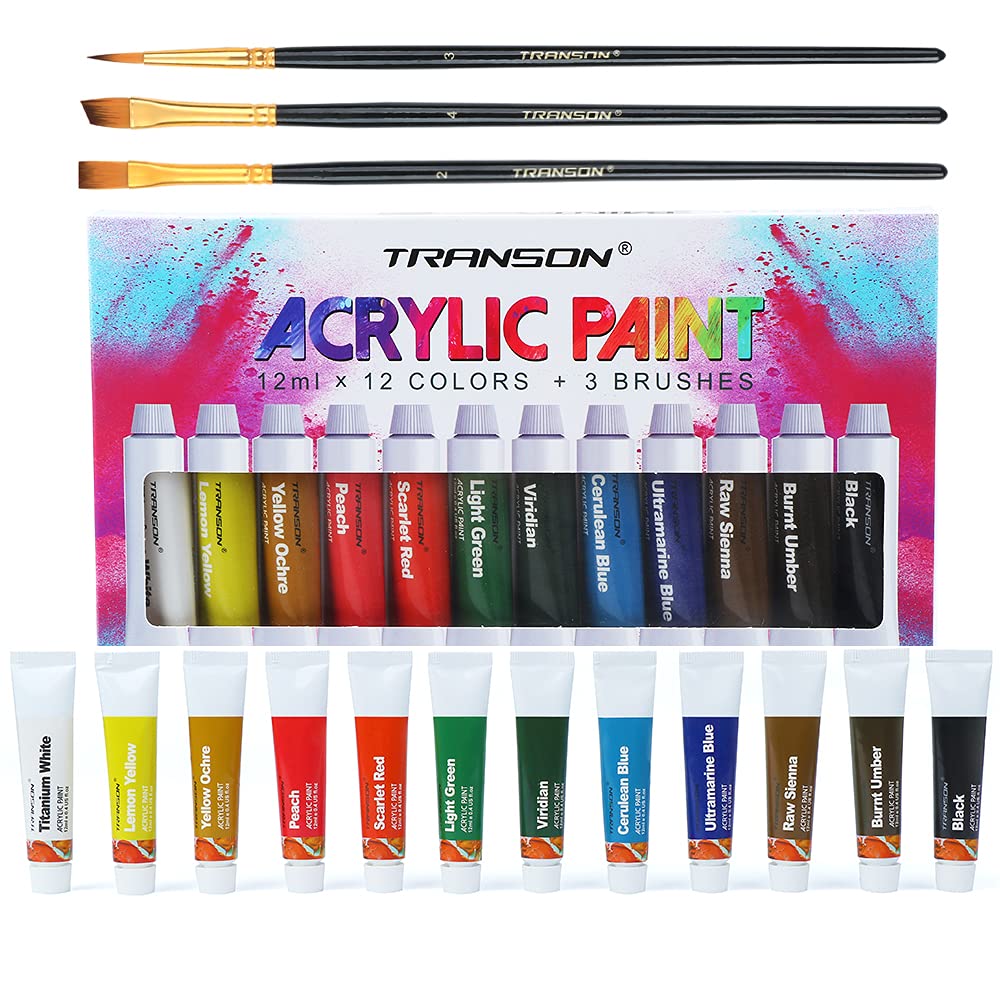Transon 12-Color Acrylic Paint Set with 3 Paint Brushes - Professional Craft Paint for Canvas, Rock & DIY Art Projects - Perfect for Beginners & Artists