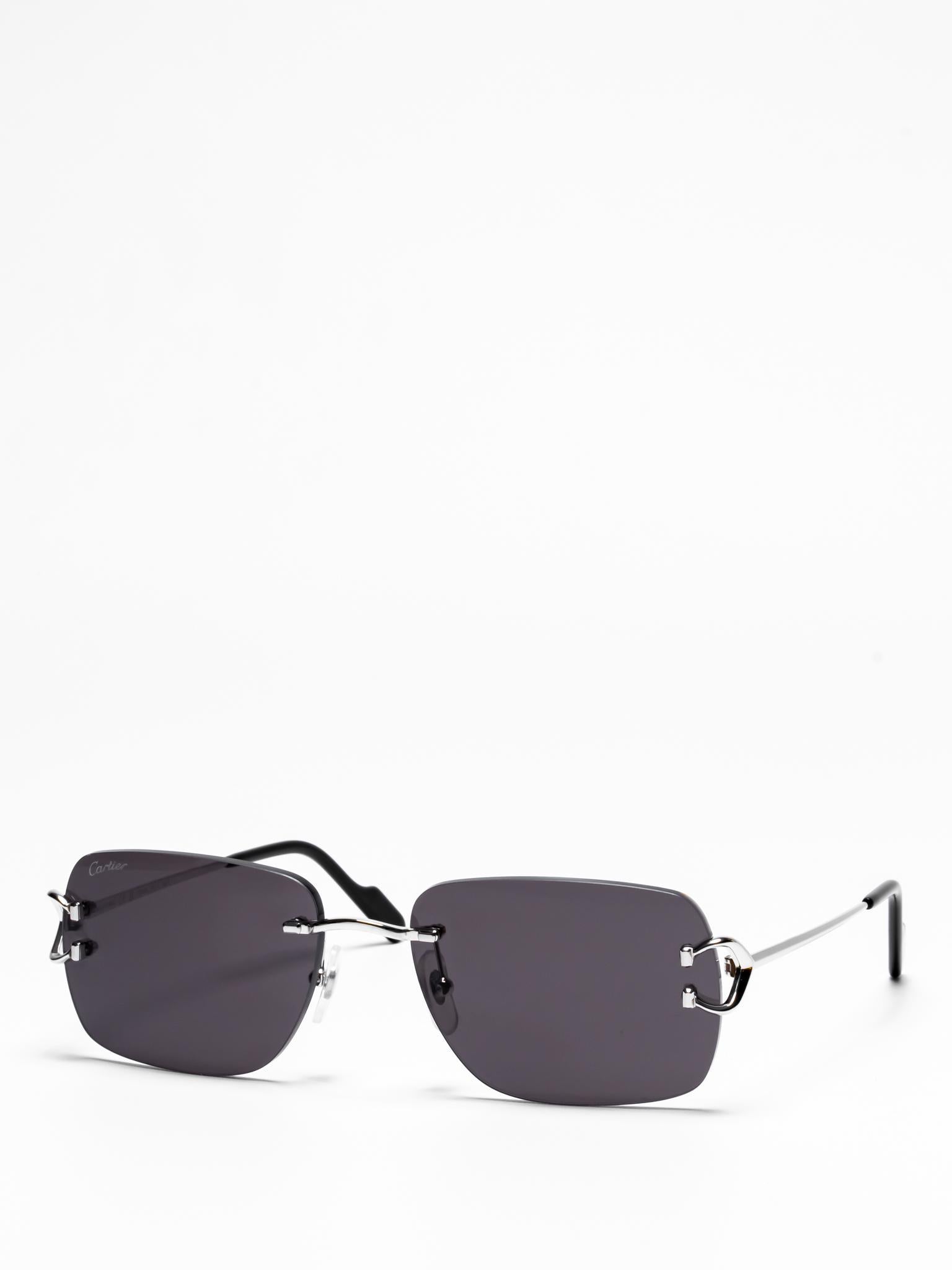 Cartier CT0330S 004 C Décor Sunglasses - Luxury Designer Shades for Women & Men - UV Protection, Fashionable & Elegant - Perfect for Beach, Driving & Outdoor Activities