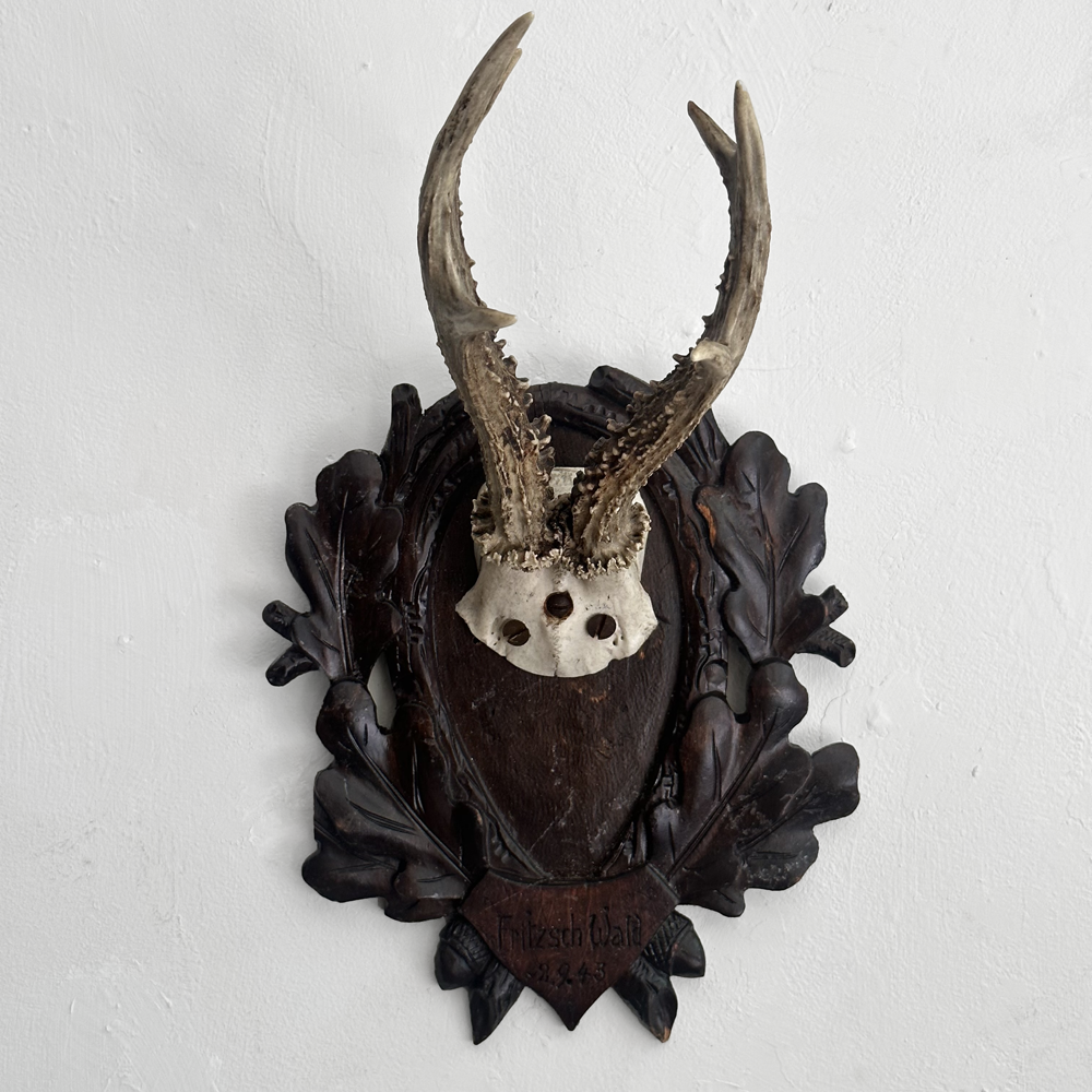 Black Forest Antlers on Carved Wood Plaque - Handcrafted Deer Antler Wall Decor for Hunting Lodge, Cabin & Rustic Home Decor - Perfect for Living Room, Study or Man Cave