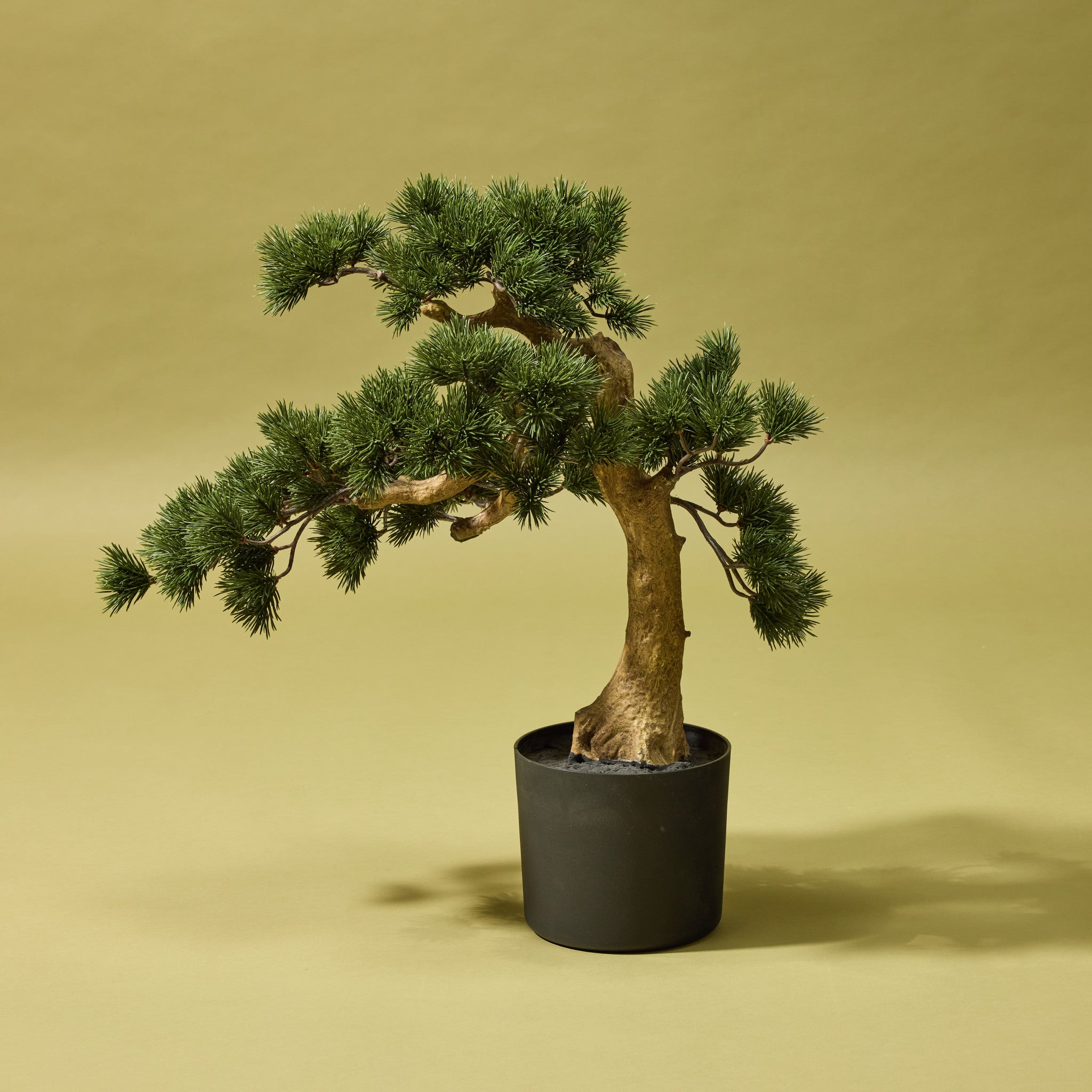 Artificial Pine Bonsai Tree in Decorative Pot - 21.6 Inch Tall Indoor/Outdoor Fake Plant for Home Office Decor, Zen Garden, and Tabletop Display