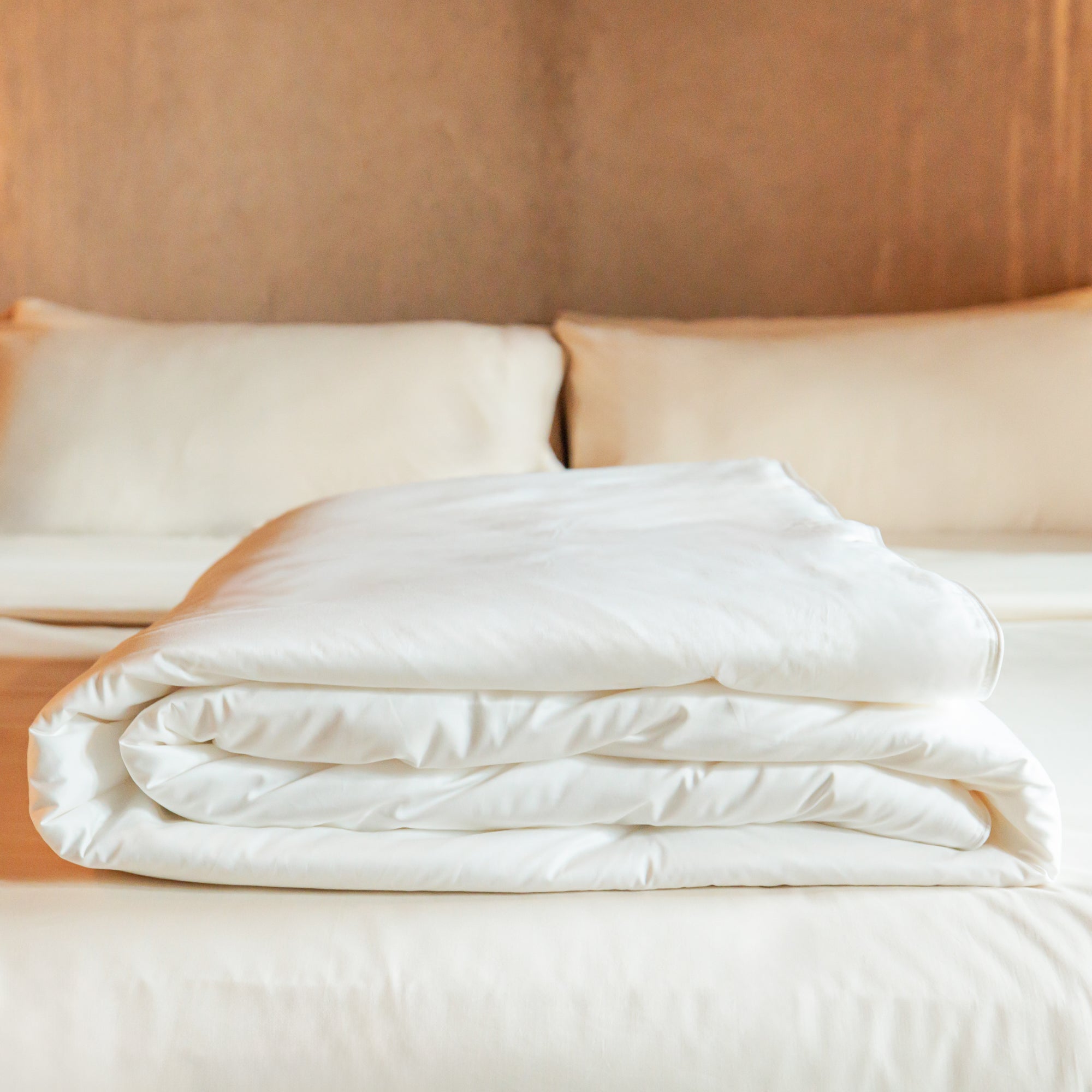 Premium Mulberry Silk Filled Duvet Insert with Luxe 100% Cotton Shell - Ultra Soft All-Season Comforter for Bedroom Luxury & Better Sleep