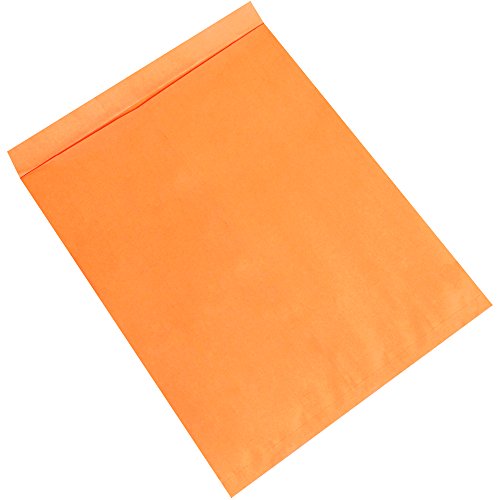 Partners Brand Jumbo Shipping Envelopes 24x30 Inches - 100 Pack Kraft Brown Mailing Bags for Large Documents, Posters & Artwork - Durable Extra Large Postal Packaging for Businesses & Ecommerce