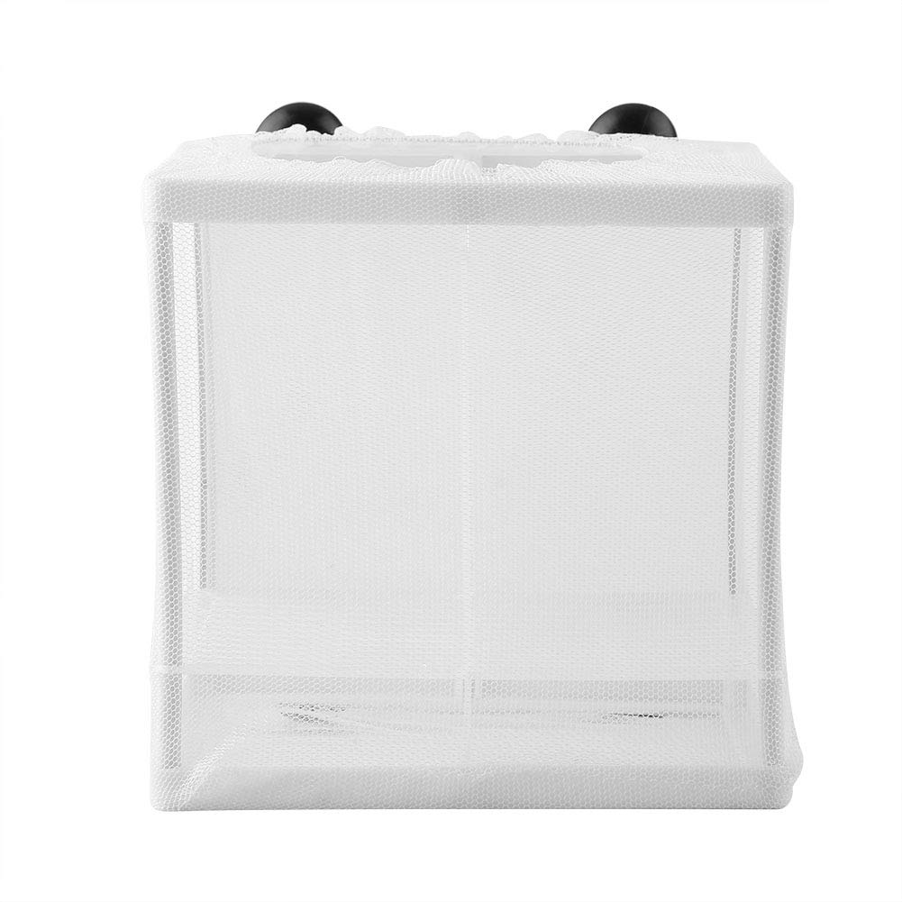 EVTSCAN Fish Breeding Box - Plastic Aquarium Hatchery & Breeder Box with Isolation Mesh for Safe Fish Breeding | Ideal for Guppy, Betta, and Goldfish in Home Aquariums