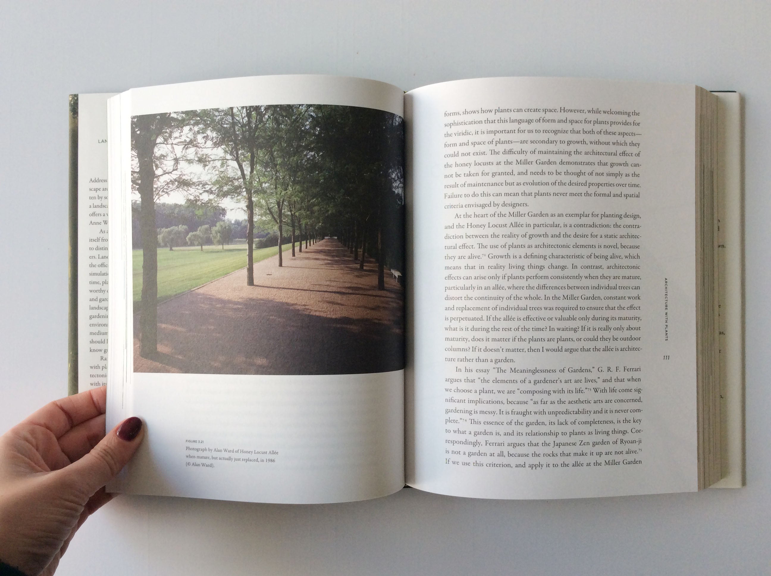 Overgrown: Best Practices in Landscape Architecture and Gardening for Stunning Outdoor Spaces - Perfect for Home Gardens, Urban Landscaping, and Commercial Properties