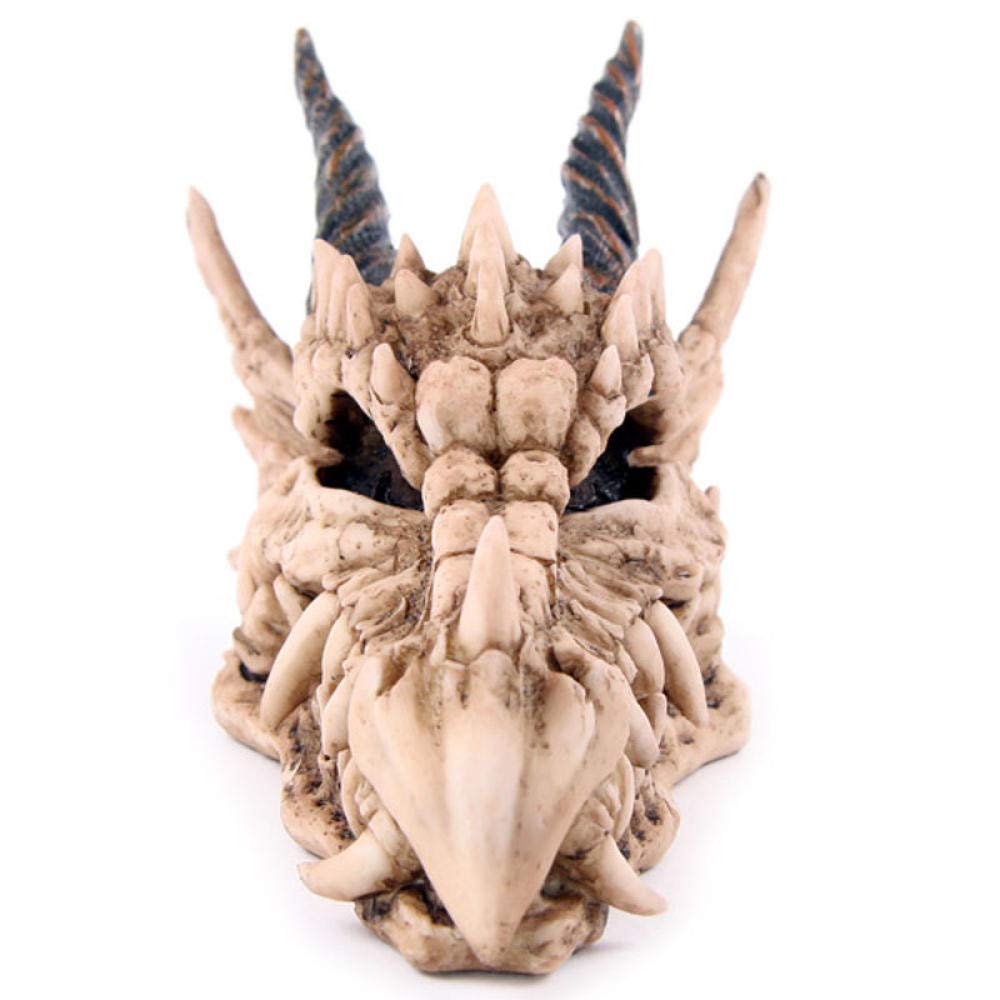 Handmade Dragon Skull Sculpture - Snarling Magical Treasure Trinket Box & Piggy Bank with Horns - Unique Coin Holder for Home Decor, Fantasy Collectibles & Gift Giving