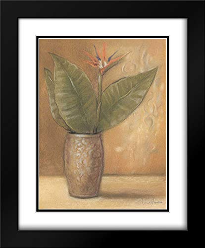 Lucia 20x23 Inch Black Modern Framed Art Print - Global Pots II Museum Quality Double Matted Wall Decor for Living Room, Bedroom & Office