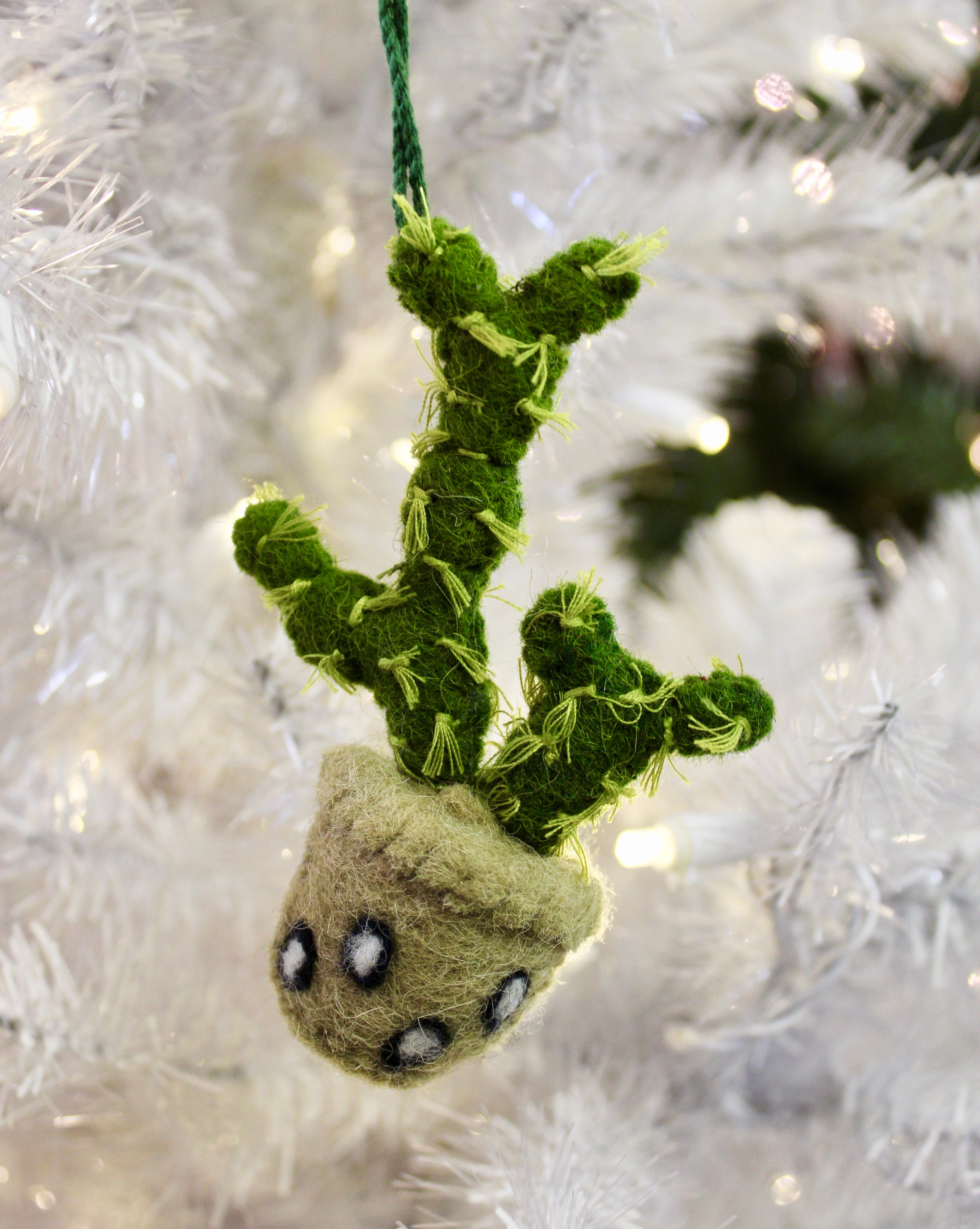 Cactus Ornaments for Home Decor - Unique Succulent Themed Wall Art & Tabletop Decorations - Perfect for Boho, Farmhouse, and Modern Interior Design Styles