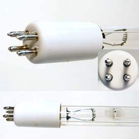 Technical Precision 05-0640a Replacement Batteries & Light Bulbs - Perfect for Home, Office & Emergency Kits
