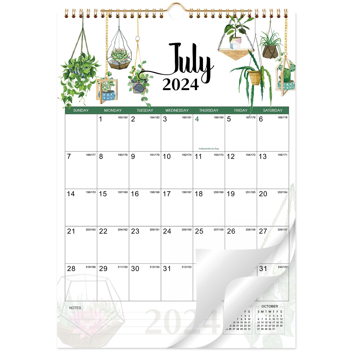 2025 Wall Calendar - 12