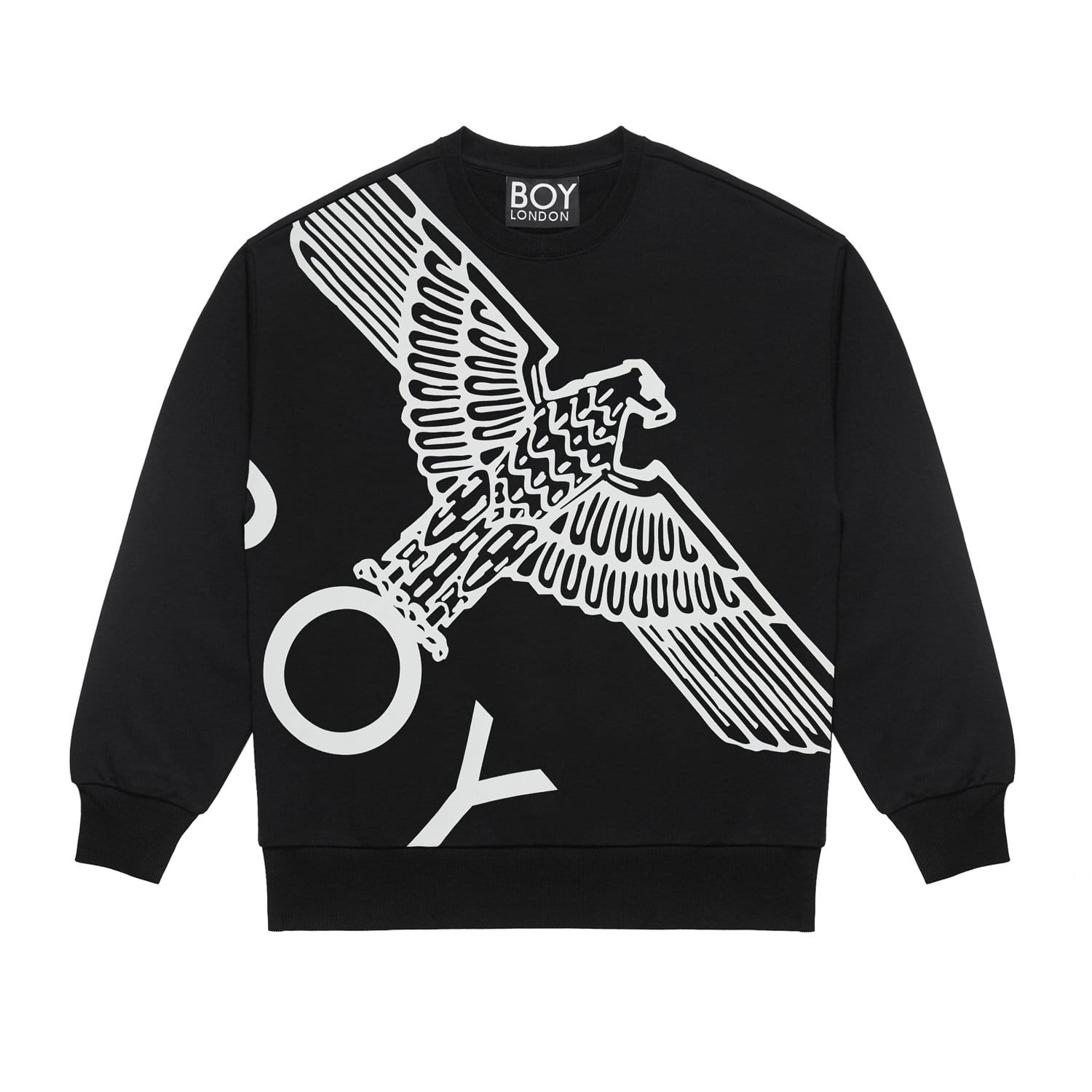 BOY WINGSPAN SWEATSHIRT - Comfortable Pullover Hoodie for Kids - Perfect for School, Sports & Outdoor Activities