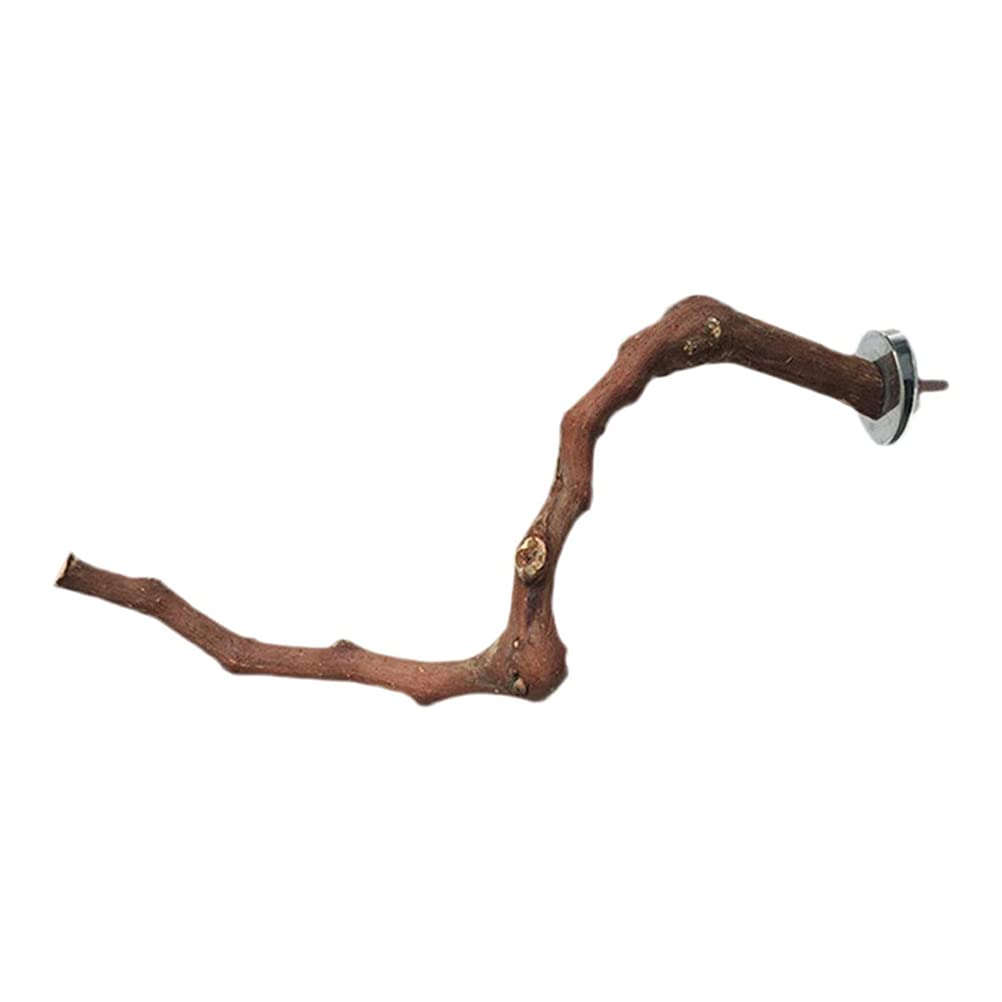 TEHAUX Natural Wood Bird Play Stand - Training Toy for Parrots, Budgies & Small Birds | Cage Accessories, Grape Wood Grinding Stick & Perch for Chewing & Playing | Perfect for Bird Exercise & Beak Trimming