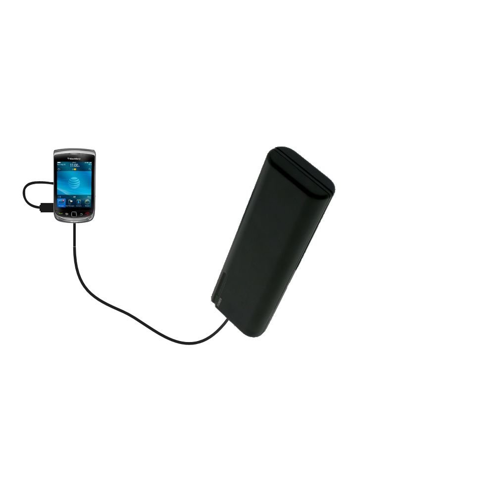Portable AA Battery Charger Extender for BlackBerry 9800 - Emergency Power Backup for Travel, Camping & Outdoor Activities | TipExchange Tech