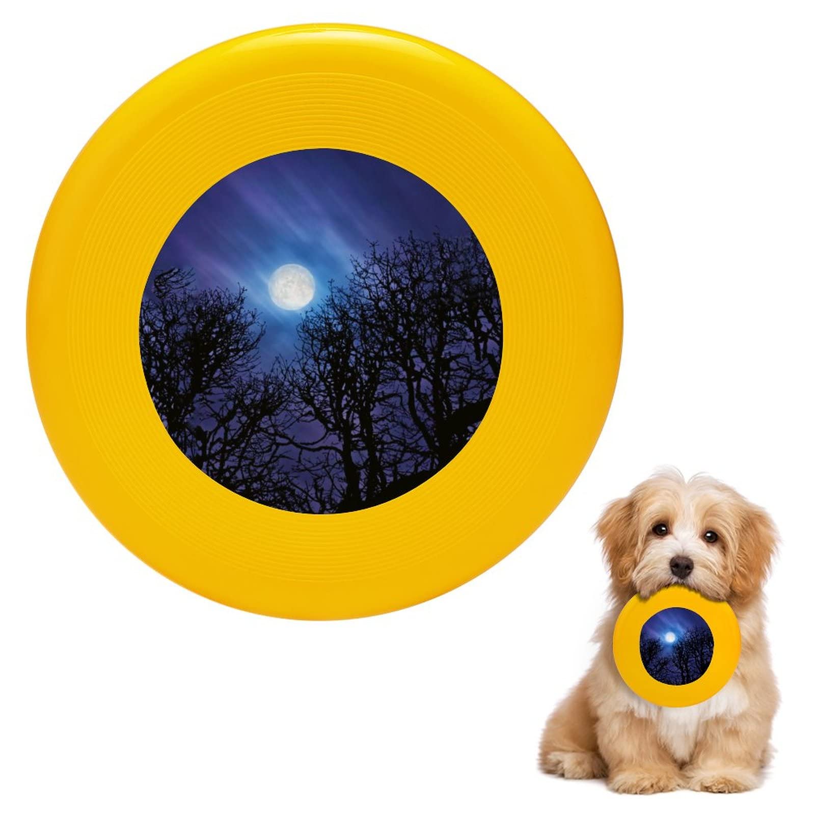 Glow in The Dark Flying Disc Dog Toy - Round LED Light Up Fetch Frisbee for Training, Exercise & Outdoor Play - Perfect for Nighttime Fetch, Beach, Park & Backyard Fun