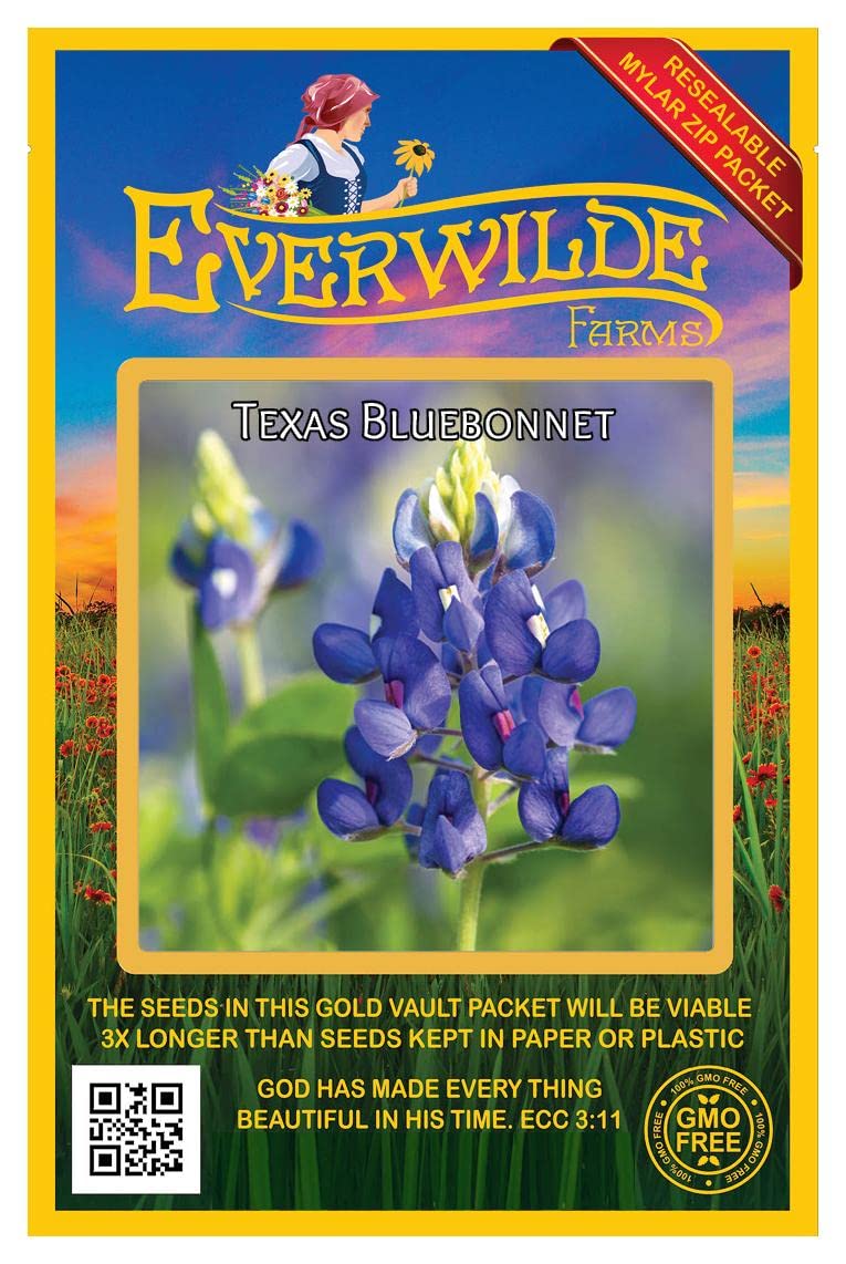 Everwilde Farms - 50 Texas Bluebonnet Native Wildflower Seeds - Gold Vault Jumbo Seed Packet for Garden, Landscaping & Pollinator-Friendly Planting