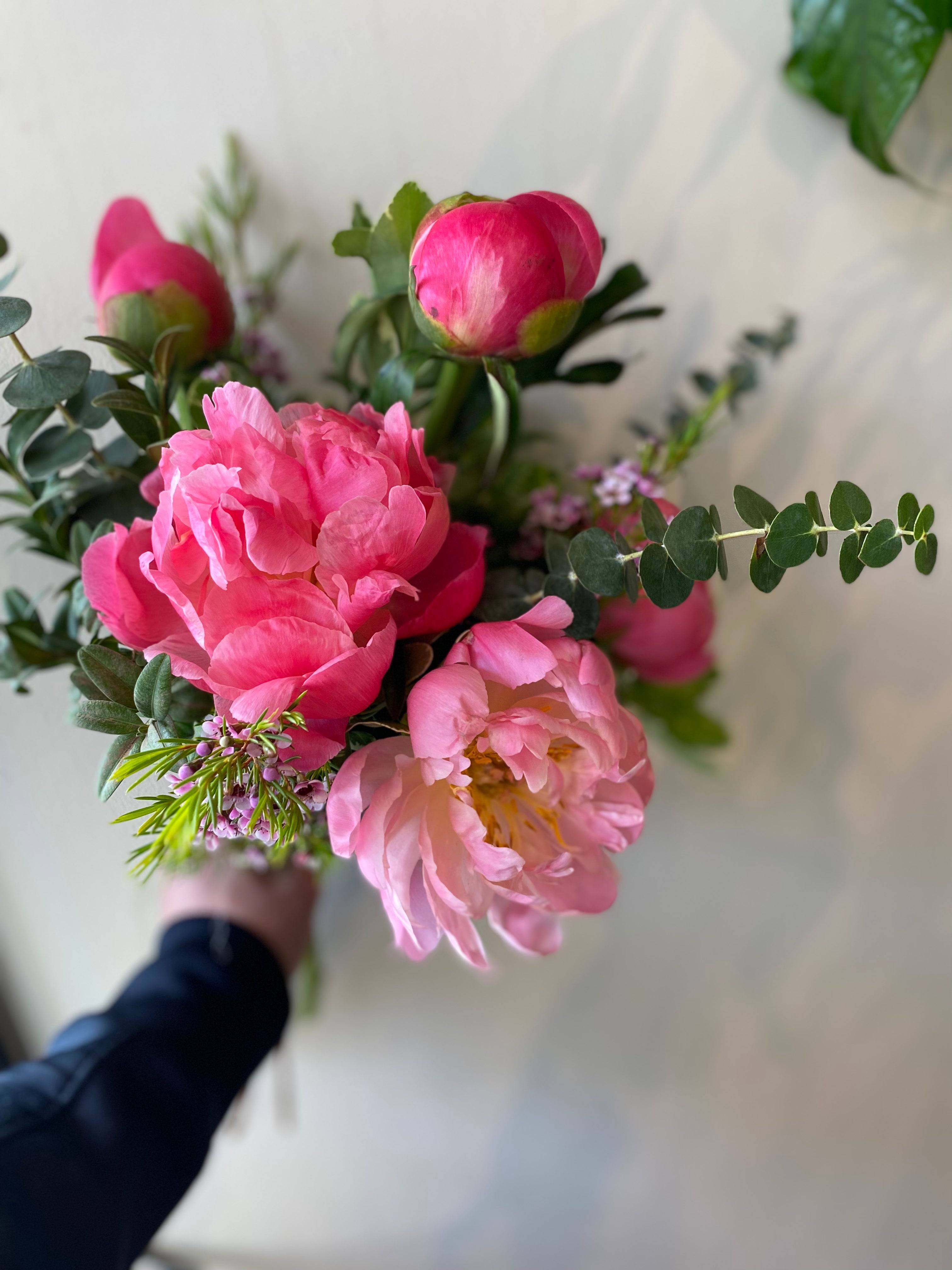 5 Stems Fresh Cut Peony Bouquet - Elegant Pink Peonies for Weddings, Home Decor & Special Occasions