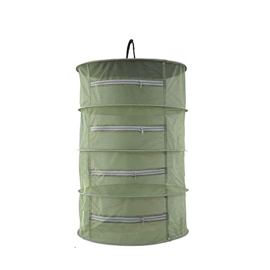 JTB 4-Layer Foldable Hanging Herb Drying Rack with Zippers - Mesh Hydroponics Dryer for Herbs, Tea, Flowers & Spices - Portable Collapsible Design with Carry Bag (Green) - Perfect for Kitchen, Garden & Outdoor Drying