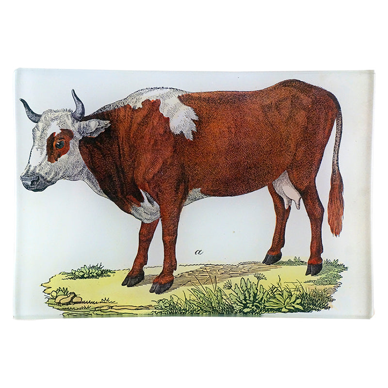 MT Cow A JPG - High-Quality Digital Cow Image Download for Wall Art, Print, and Decor | Perfect for Home, Office, and Farmhouse Decoration