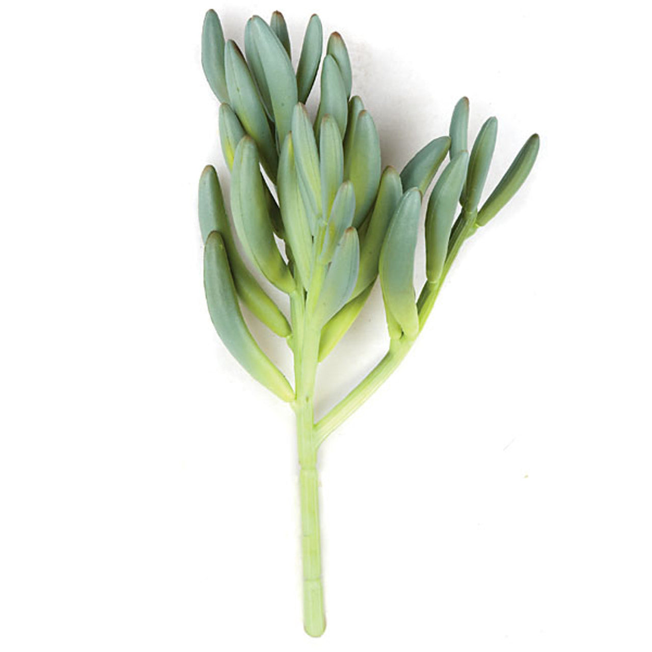 11 Real Touch Aeonium Artificial Green/Gray Stems - Pack of 12 | Faux Succulent Plants for Home Decor, Office Desk, Wedding Centerpieces & DIY Floral Arrangements
