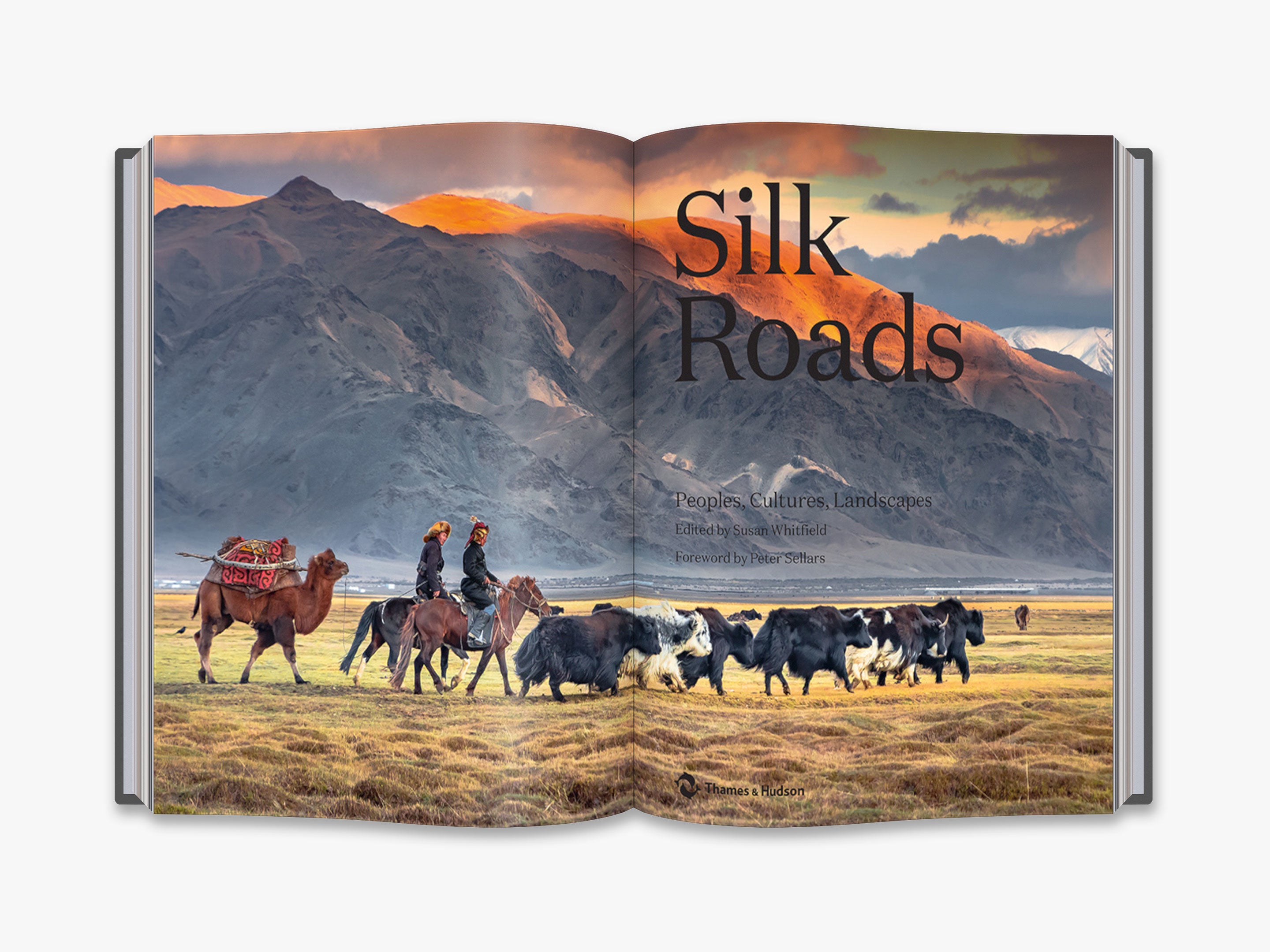 Silk Roads - Premium Silk Scarves & Accessories for Women | Elegant Fashion & Gift Ideas | Perfect for Weddings, Parties & Special Occasions