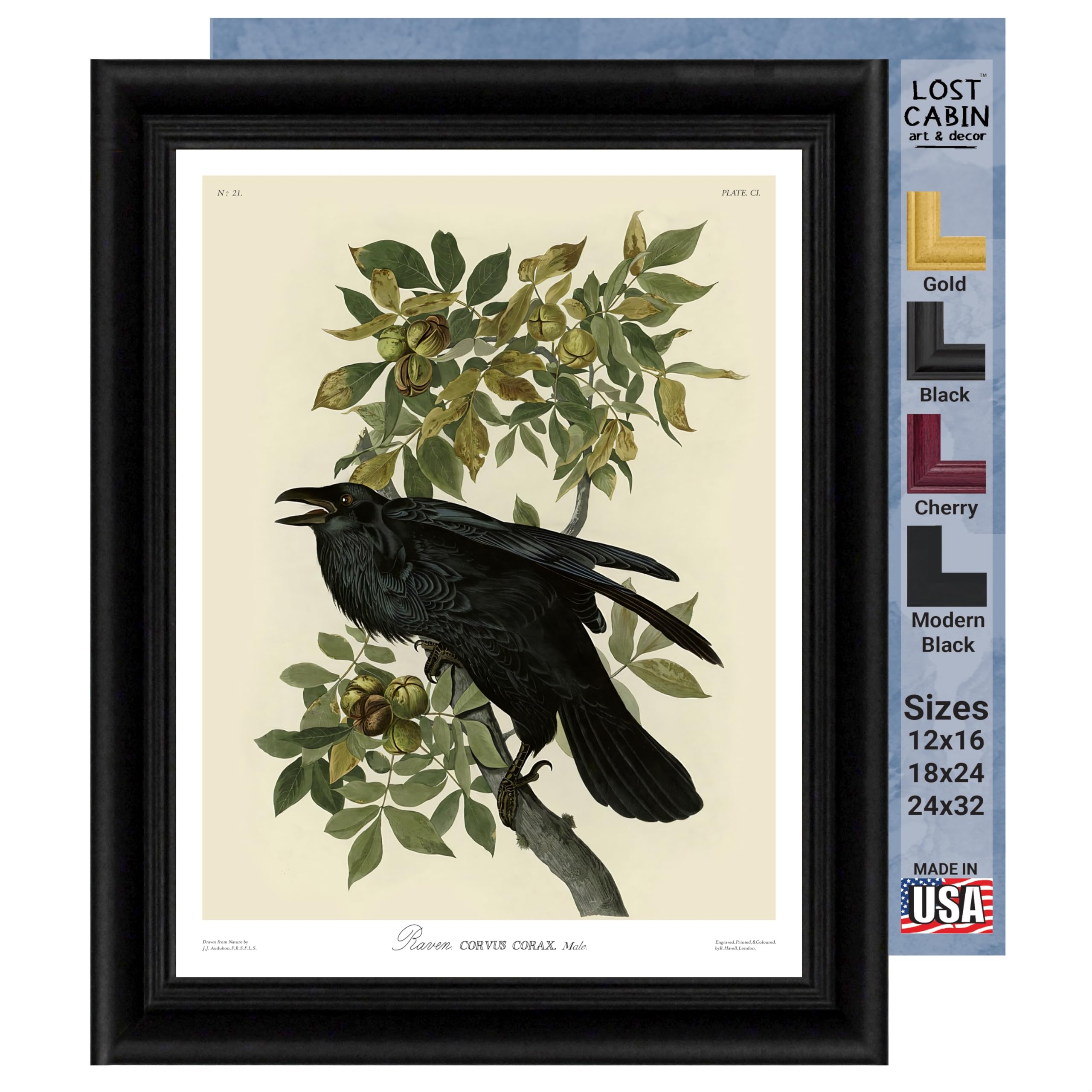 James Audubon Raven Framed Poster - Premium Wall Art Print for Nature & Wildlife Enthusiasts - Perfect for Home, Living Room, Office & Study Decor