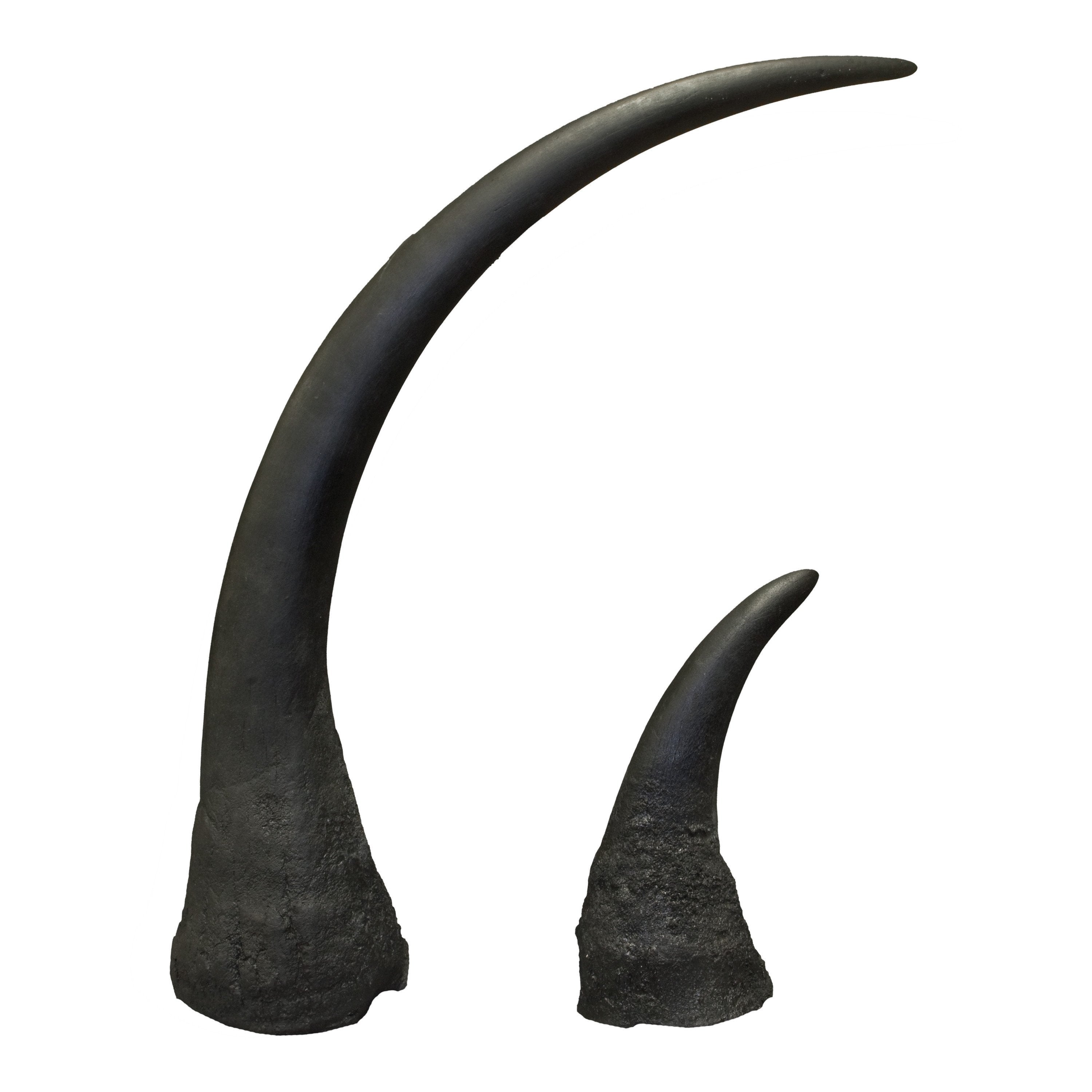Authentic-Looking Black Rhinoceros Horn Replica Set – Premium Home Decor & Wildlife Display for Safari-Themed Rooms, Offices, and Collections