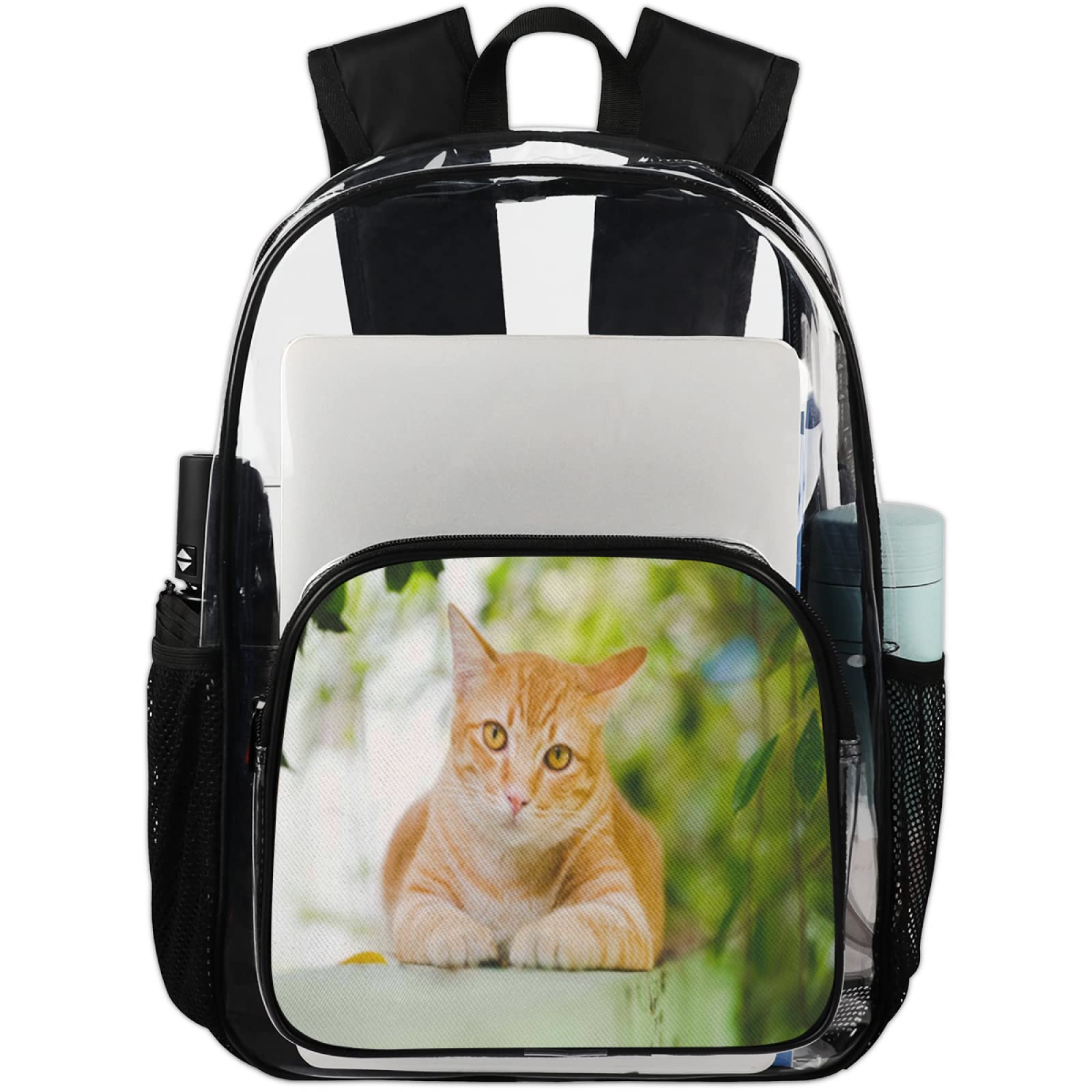 Orange Cat Transparent Clear Backpack - Heavy Duty Large Waterproof See-Through School Bag for Students, Teens, Women & Men - Perfect for School, Travel, Work & Laptop Daypack