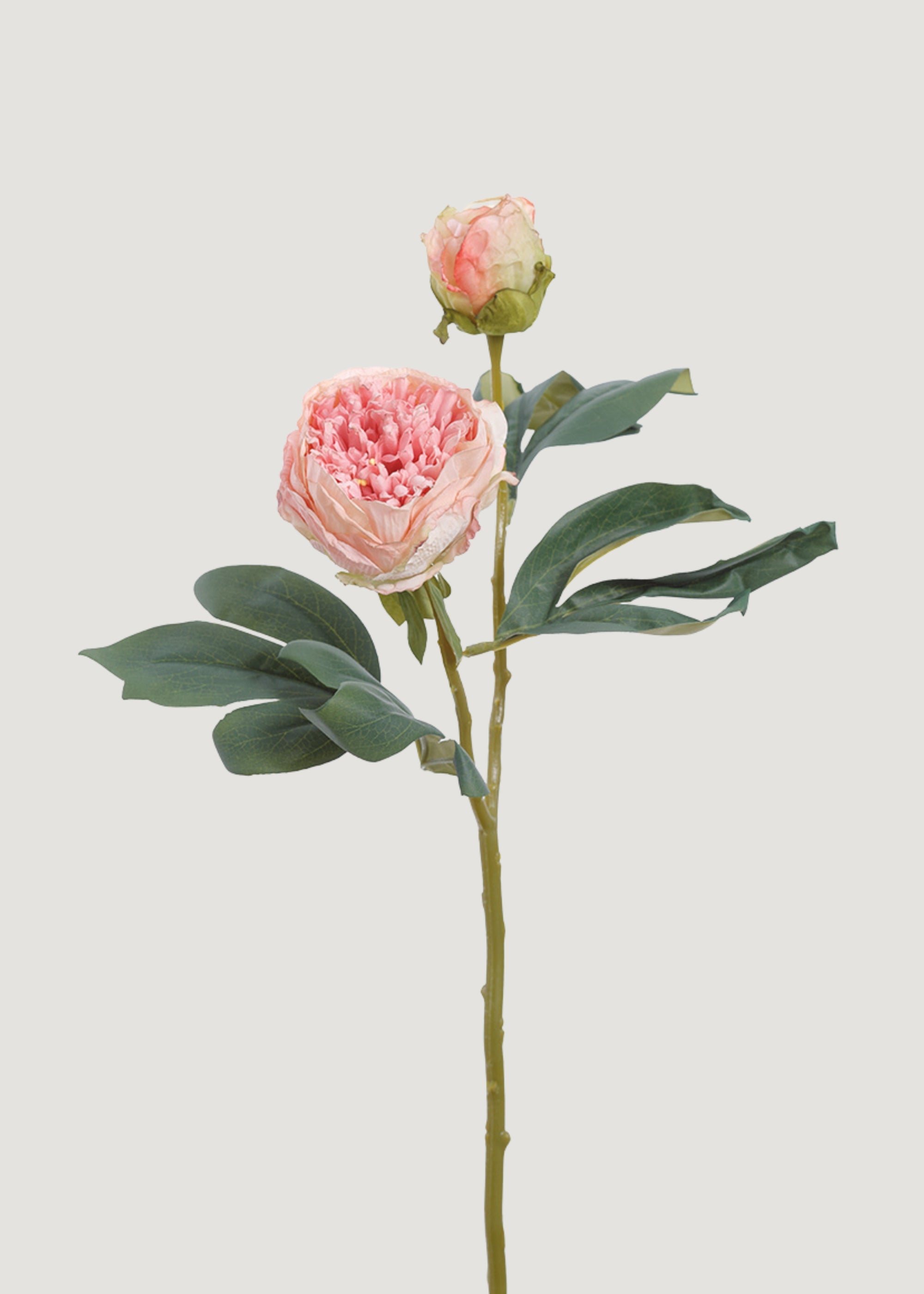 Pink Artificial Peony Flowers - 19