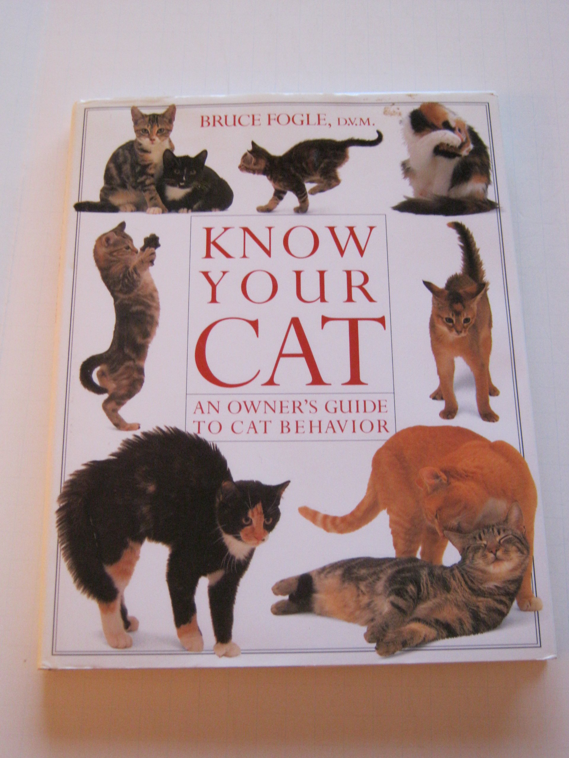Know Your Cat: The Ultimate Owner's Guide to Understanding Cat Behavior & Body Language | Perfect for New Pet Parents & Feline Enthusiasts