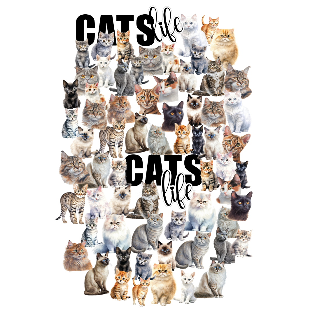 Willow & Grace Creative Cuts for Cats - Premium Cat Grooming Scissors & Hair Clippers for Professional Grooming at Home or Pet Salon