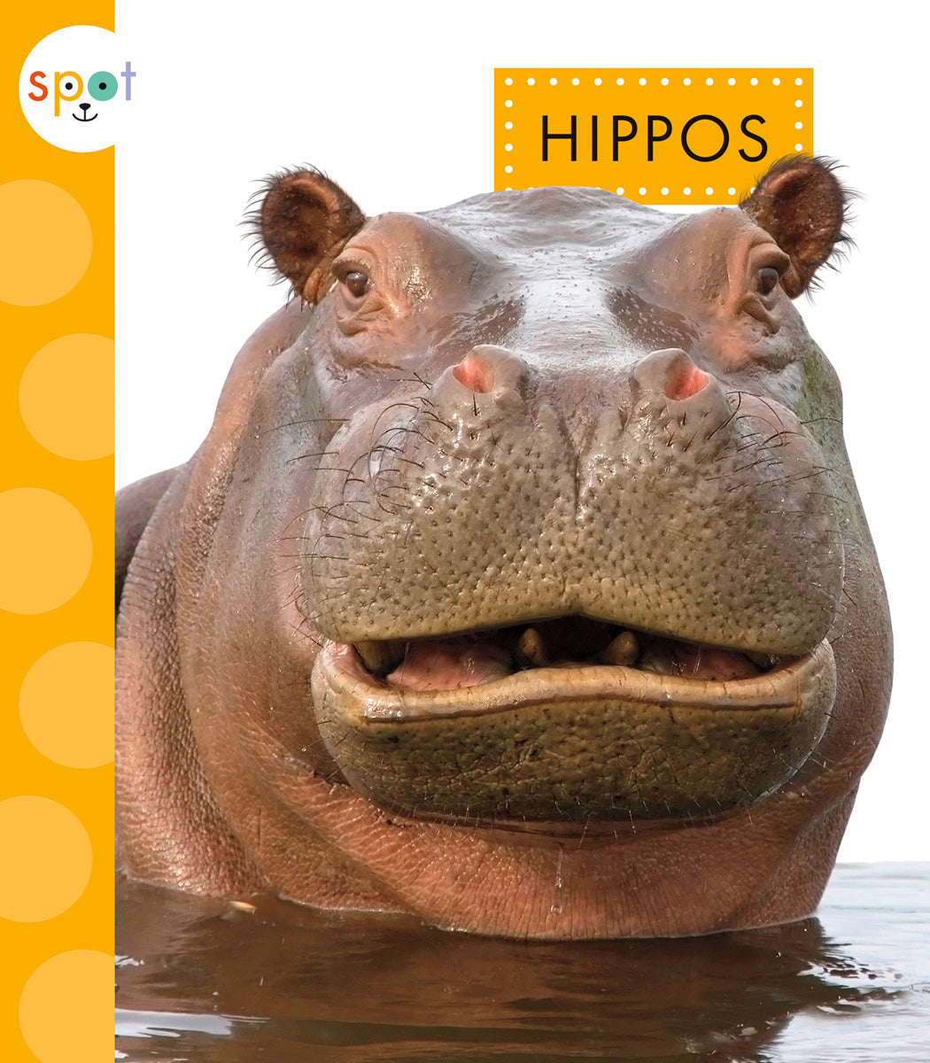Premium Hippo Plush Toy - Soft & Cuddly Stuffed Animal for Kids, Perfect for Nursery Decor, Birthday Gifts & Cuddle Companionship