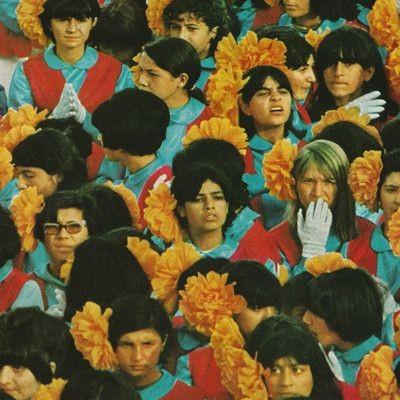 Alvvays CD - Official Album by Alvvays | Indie Pop Music for Home, Car & Gifts