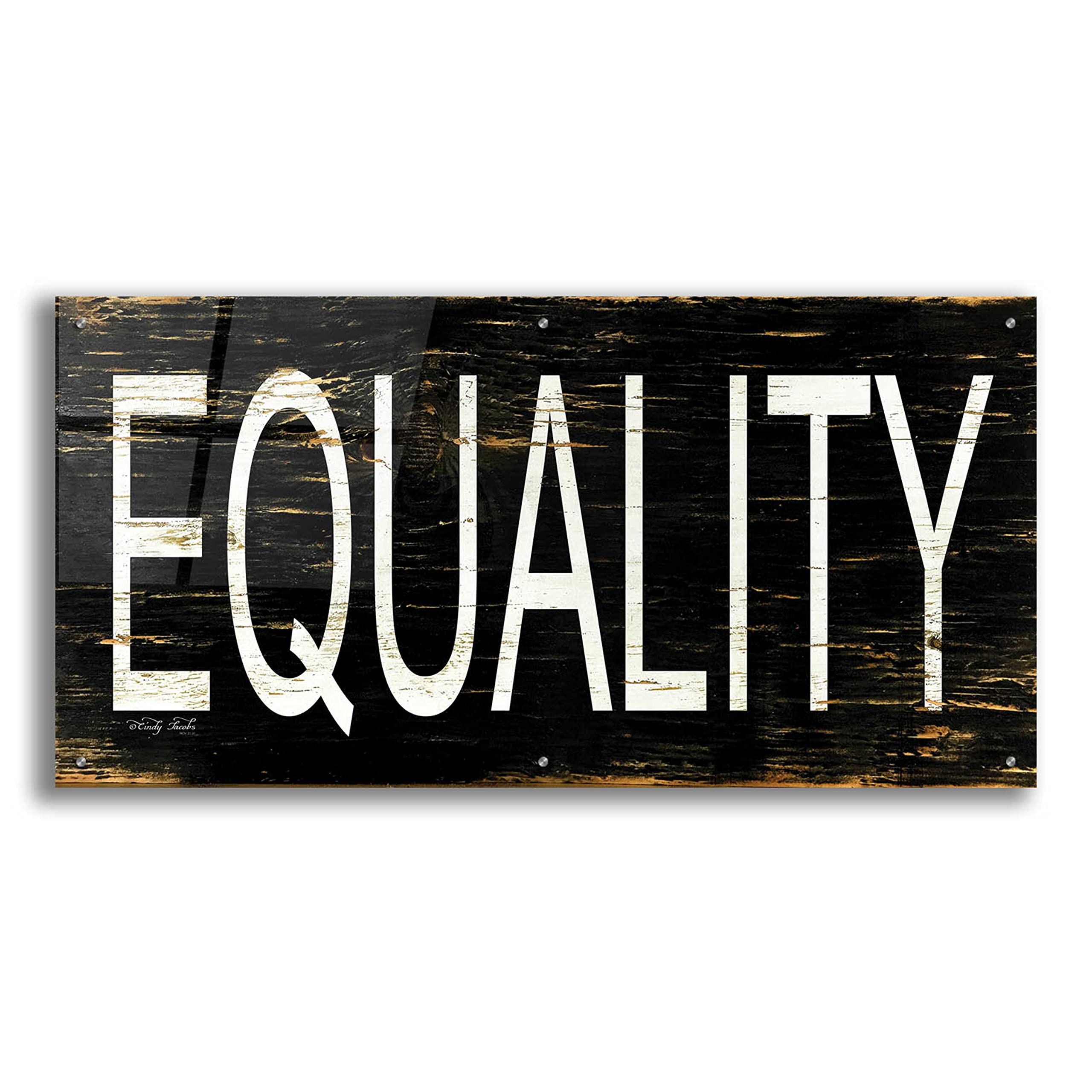Equality by Cindy Jacobs - 48x24 Inch Acrylic Glass Wall Art Painting, Modern Abstract Canvas Print for Living Room, Bedroom & Office Decor