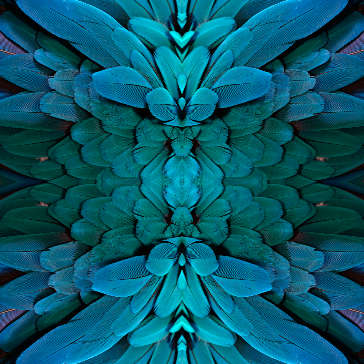 Plume Amazonian Wallpaper - Exotic Tropical Leaf Design for Home & Office Decor - Perfect for Living Room, Bedroom, and Workspace