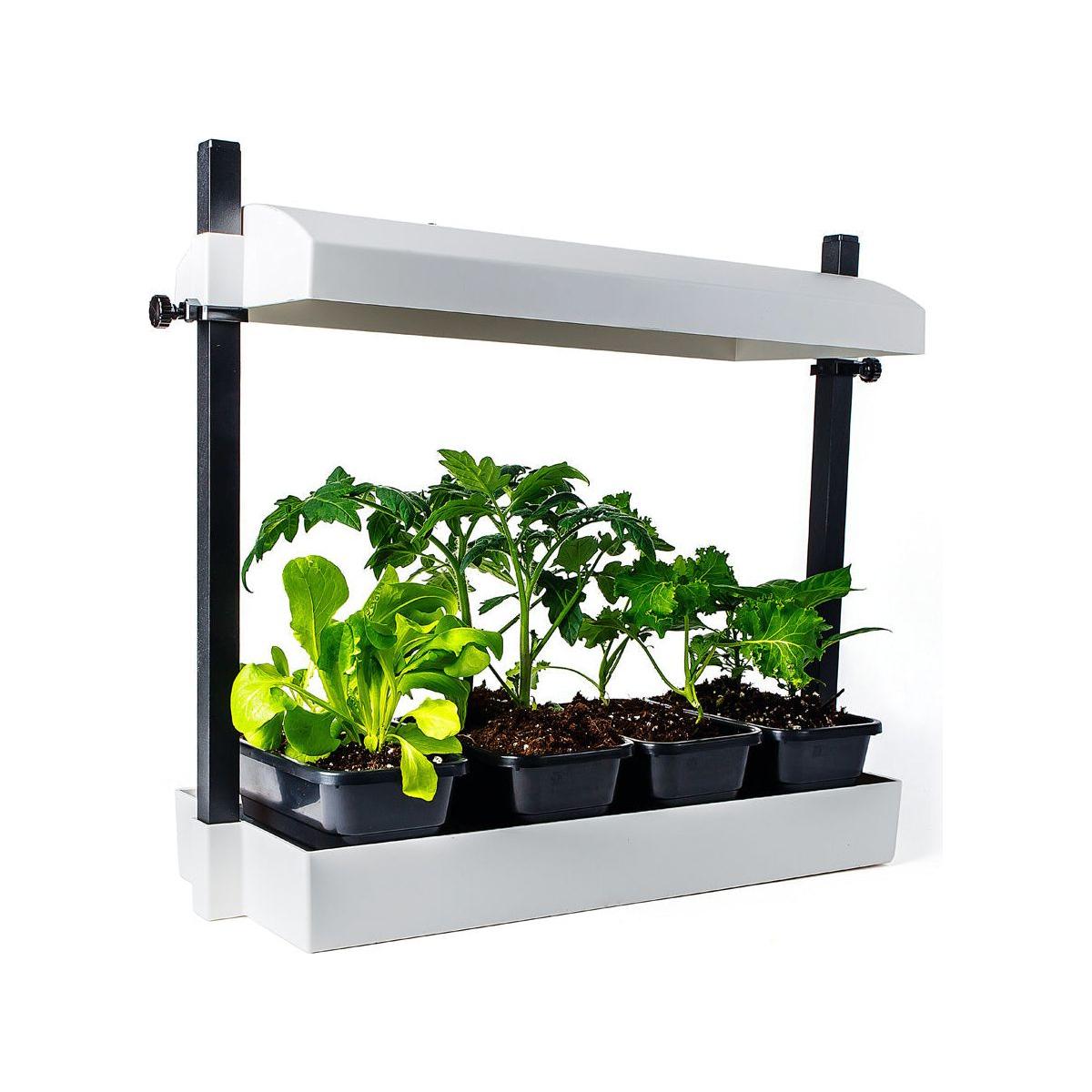 SunBlaster Micro T5 Grow Light Garden - High Efficiency White LED Plant Light for Indoor Gardening, Hydroponics & Seed Starting - Perfect for Herbs, Vegetables & Houseplants