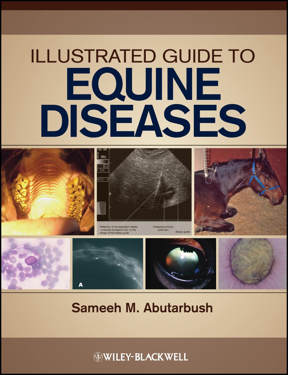 Illustrated Guide to Equine Diseases - Comprehensive Horse Illness Handbook for Veterinarians & Horse Owners | Perfect for Stable Management & Equine Health Care