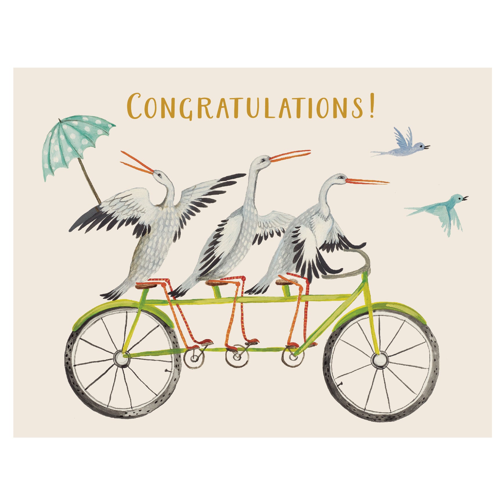 Congratulations Stork Trio Card - Baby Shower Greeting Card Set for New Parents - Perfect for Birth Announcements, Baby Showers & Welcoming Newborns