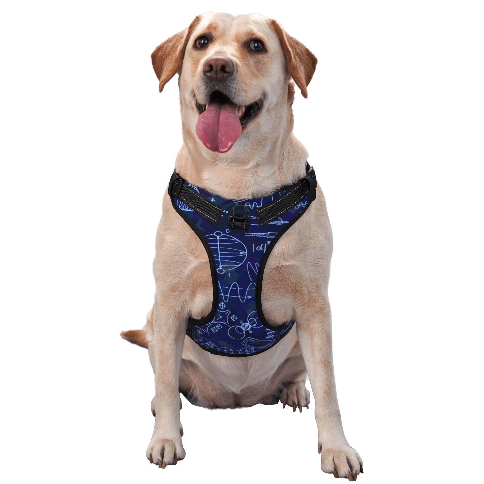 No Pull Dog Safety Harness with Leash Clip - Reflective Adjustable Breathable Vest for Small Medium Large Dogs - Perfect for Training, Walking & Outdoor Adventures