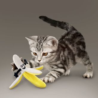 KONG Better Buzz Banana Cat Toy - Interactive & Durable Catnip Toy for Indoor Cats - Perfect for Playtime & Exercise