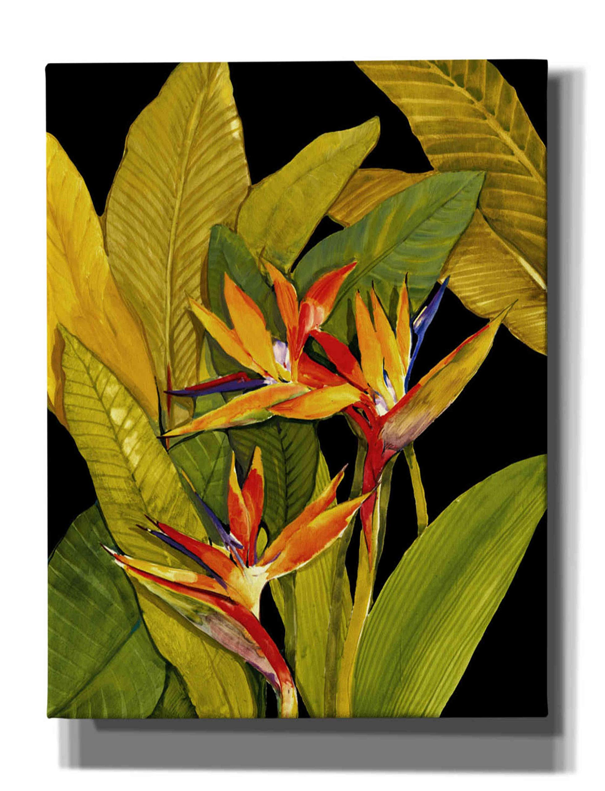 Tim O'Toole Dramatic Bird of Paradise Canvas Wall Art - 26x34 Inch Tropical Floral Painting for Living Room, Bedroom & Office Decor