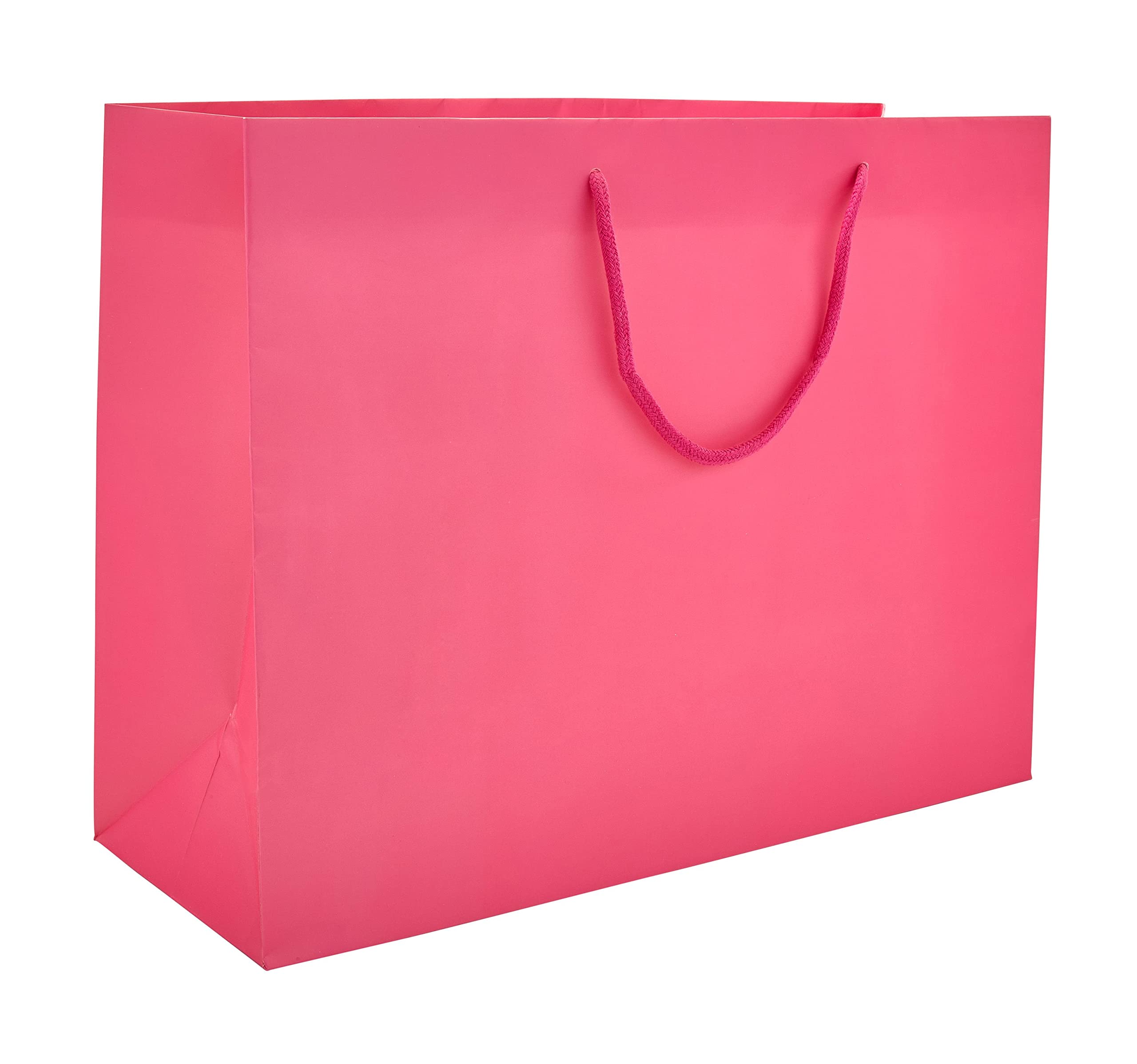 PTP BAGS Hot Pink Matte 16