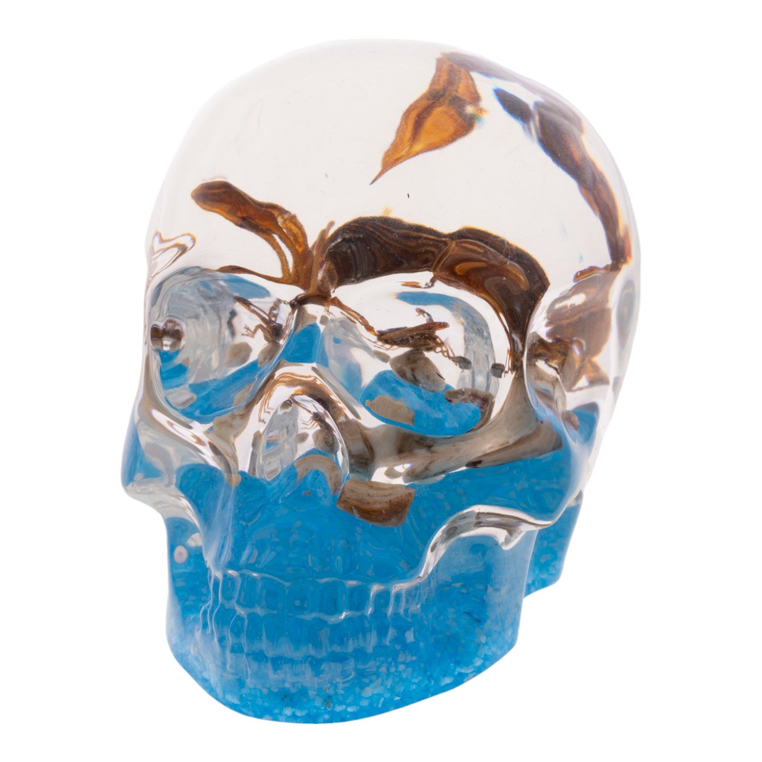 Real Golden Scorpion Encased in Clear Acrylic Skull Display - Perfect for Home Decor, Gothic Collections, and Unique Gift Ideas