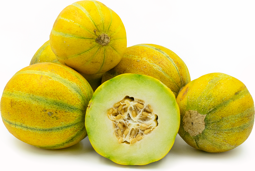 Fresh Haogen Melon - Sweet & Juicy Honeydew Variety | Perfect for Smoothies, Fruit Salads & Healthy Snacks