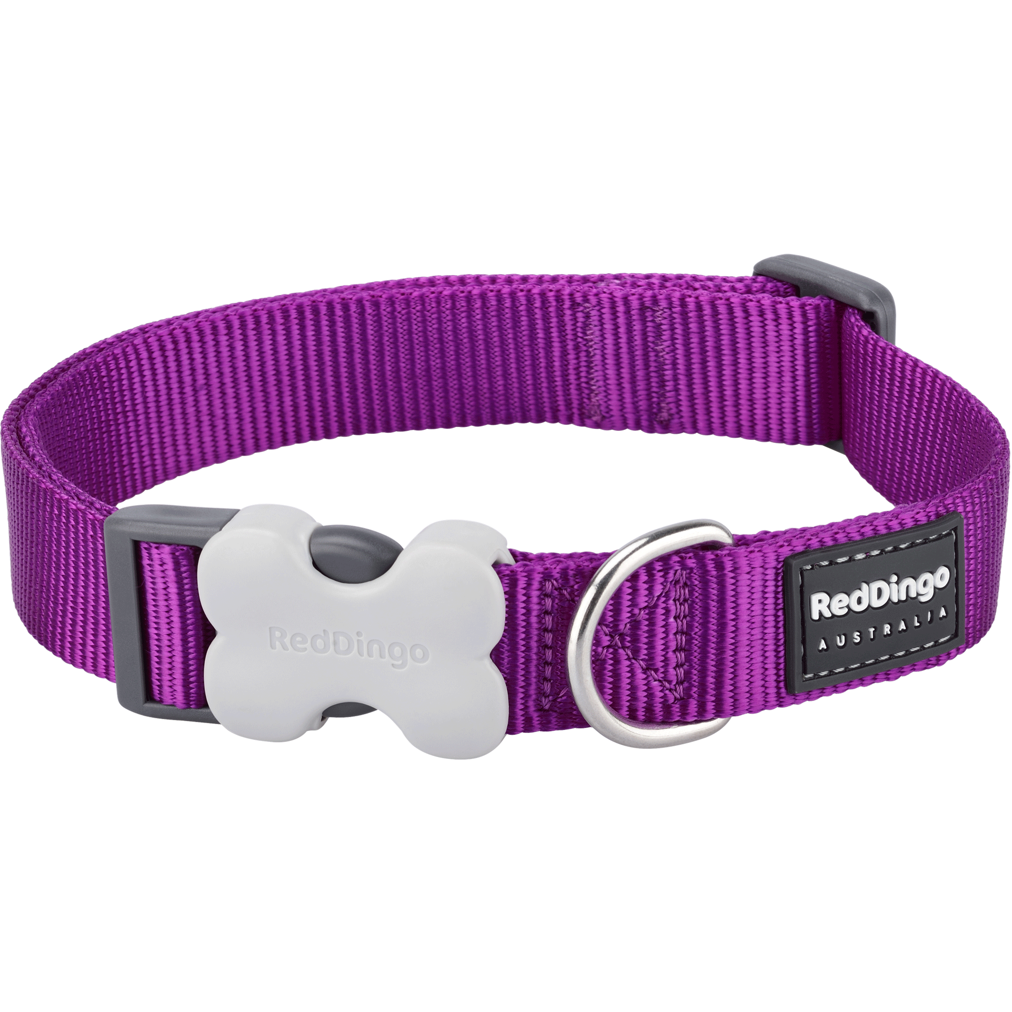 Red Dingo Purple Bucklebone Classic Dog Collar - Durable Nylon Pet Collar with Metal Buckle for Small Medium Large Dogs - Perfect for Walking, Training & Outdoor Adventures