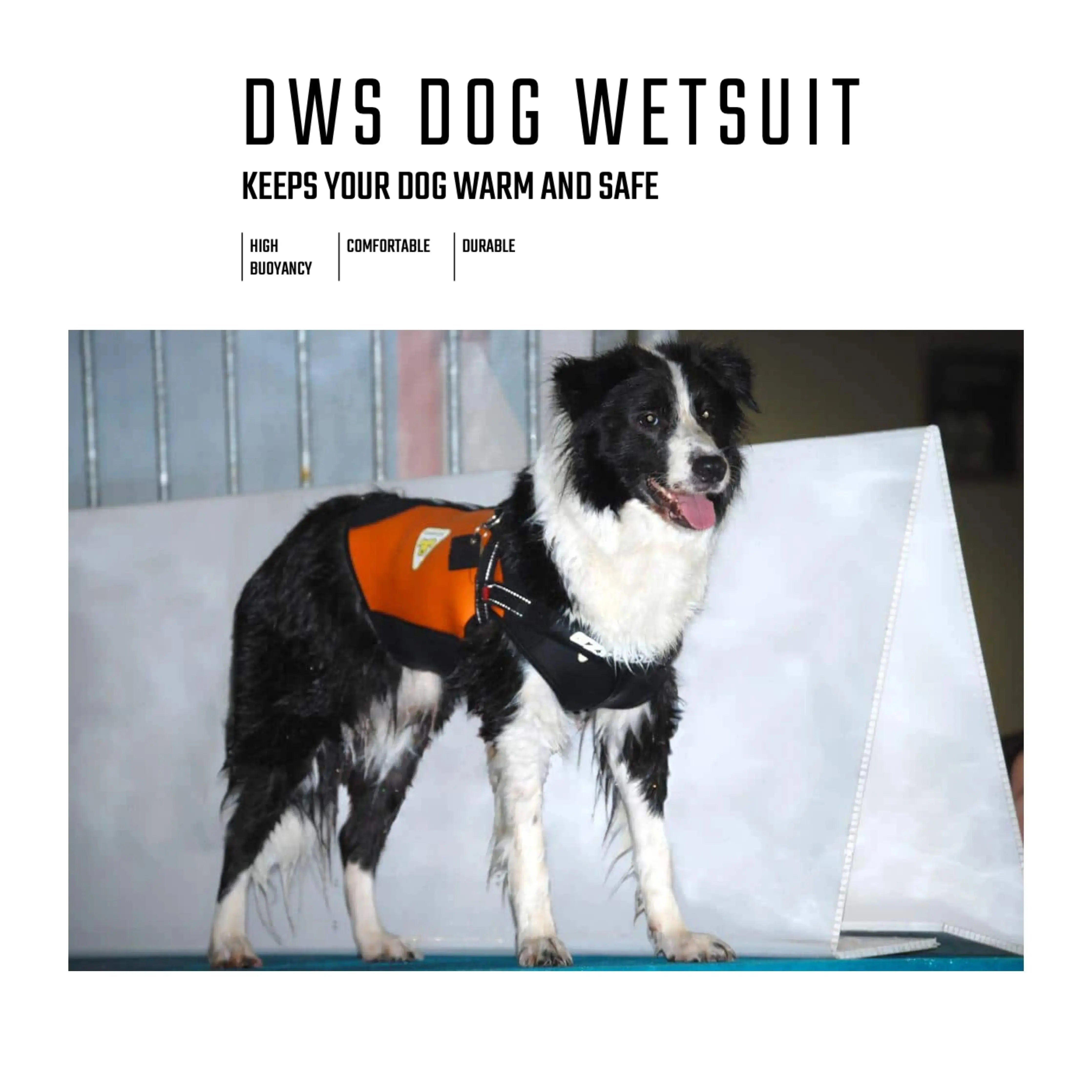 CRESSI Dog Wetsuit for Medium Dogs - Waterproof Swimwear for Beach, Pool & Outdoor Adventures
