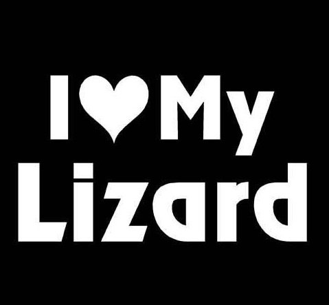 I Love My Lizard Heart Vinyl Decal Sticker - Die Cut Waterproof Decal for Cars, Windows, Laptops, MacBooks, Tool Boxes - Perfect for Car Decoration, Laptop Customization & Home Decor