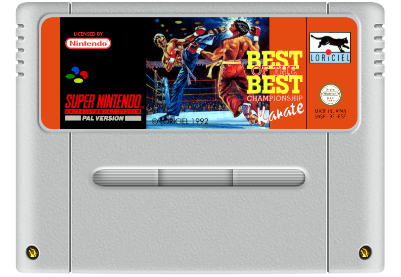 Championship Karate SNES Game Cartridge - Best Super Nintendo Entertainment System (PAL) Retro Video Game for Collectors & 90s Nostalgia Gaming